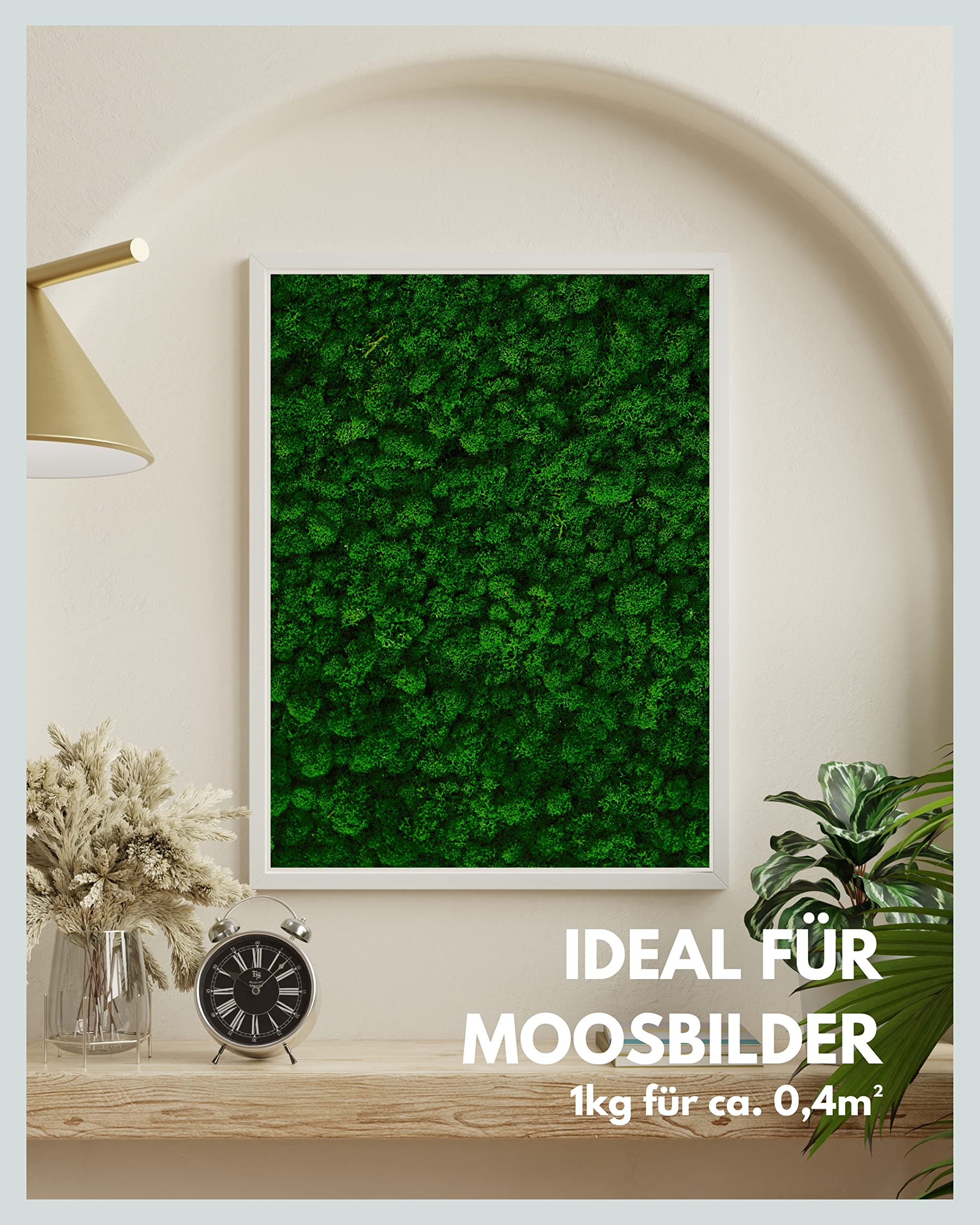 Muschio Stabilizzato Islandese Naturale - Verde Chiaro/Scuro Per Decorazioni, 500g - Foto 6