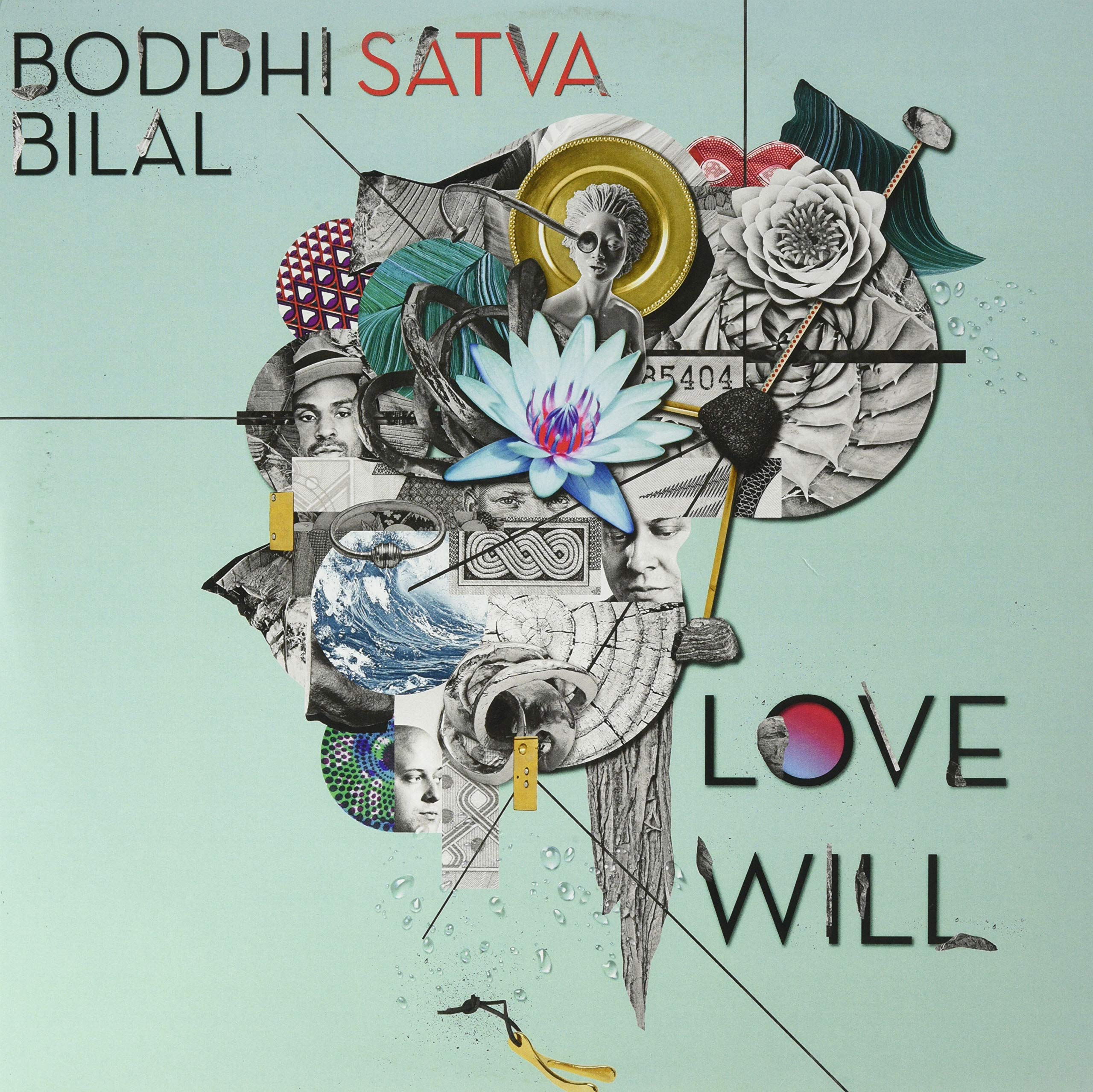 Love Will [VINYL]