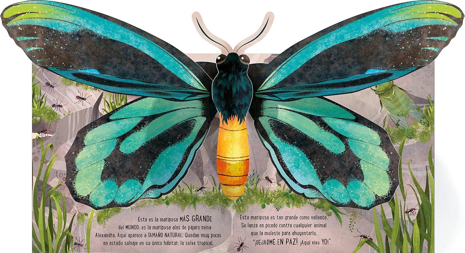 Mariposas