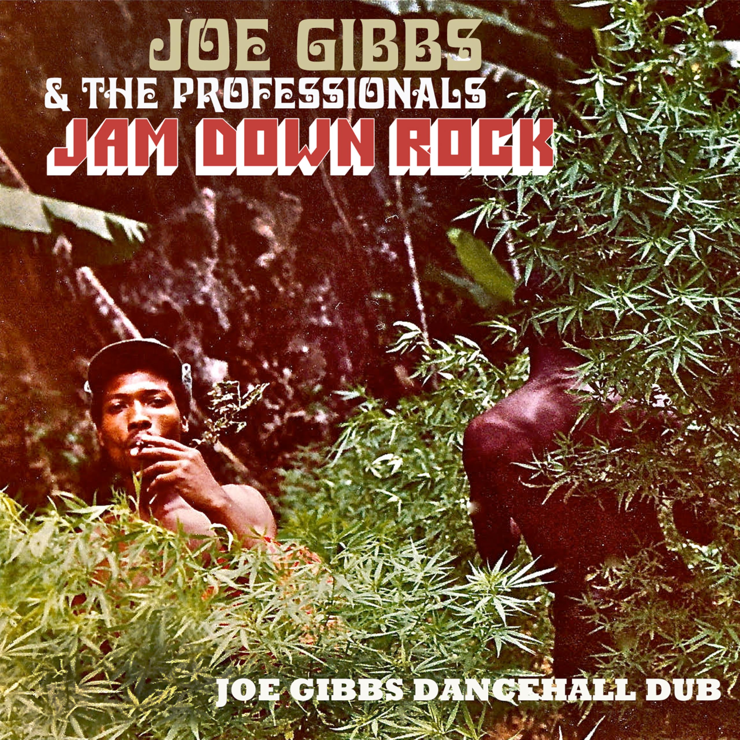 Amazon.co.jp: Jam Down Rock: Joe Gibbs Dancehall Dub: ミュージック