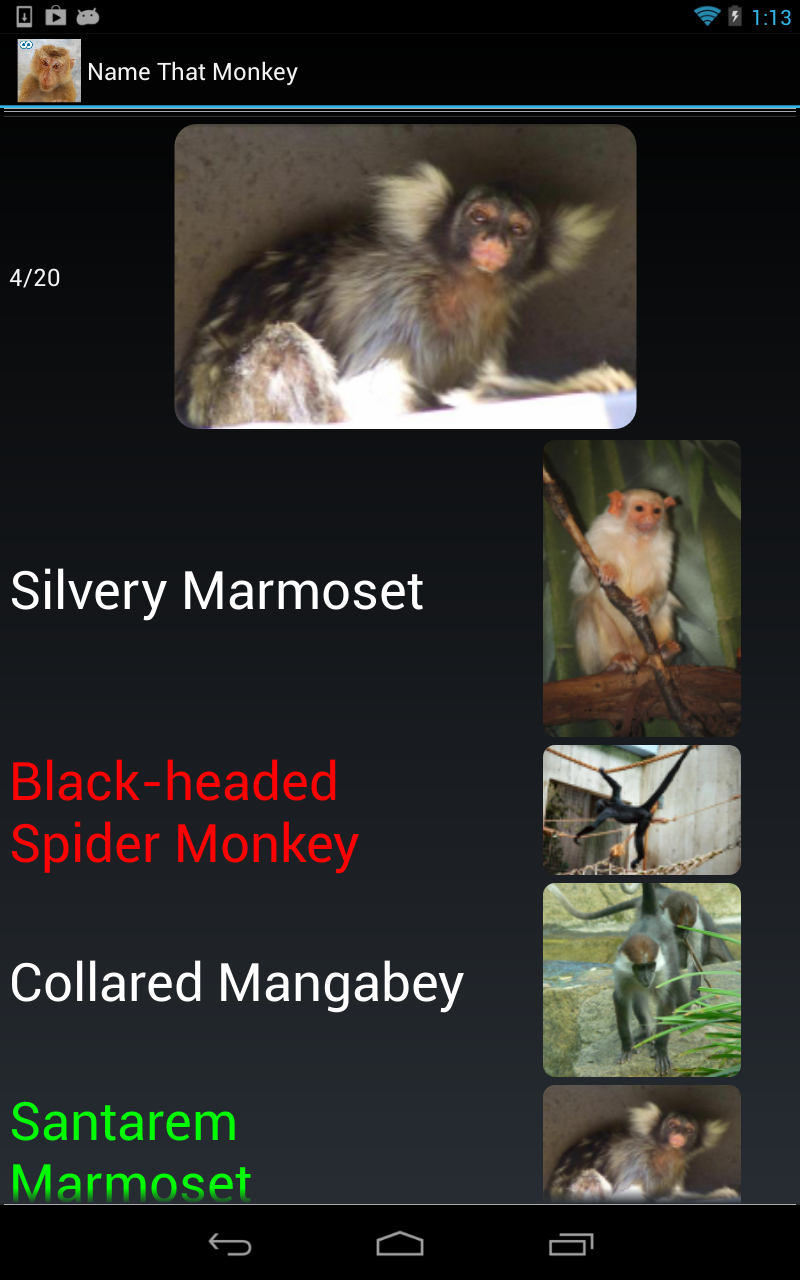 Monkey Species Trivia Quiz - App on the Amazon Appstore