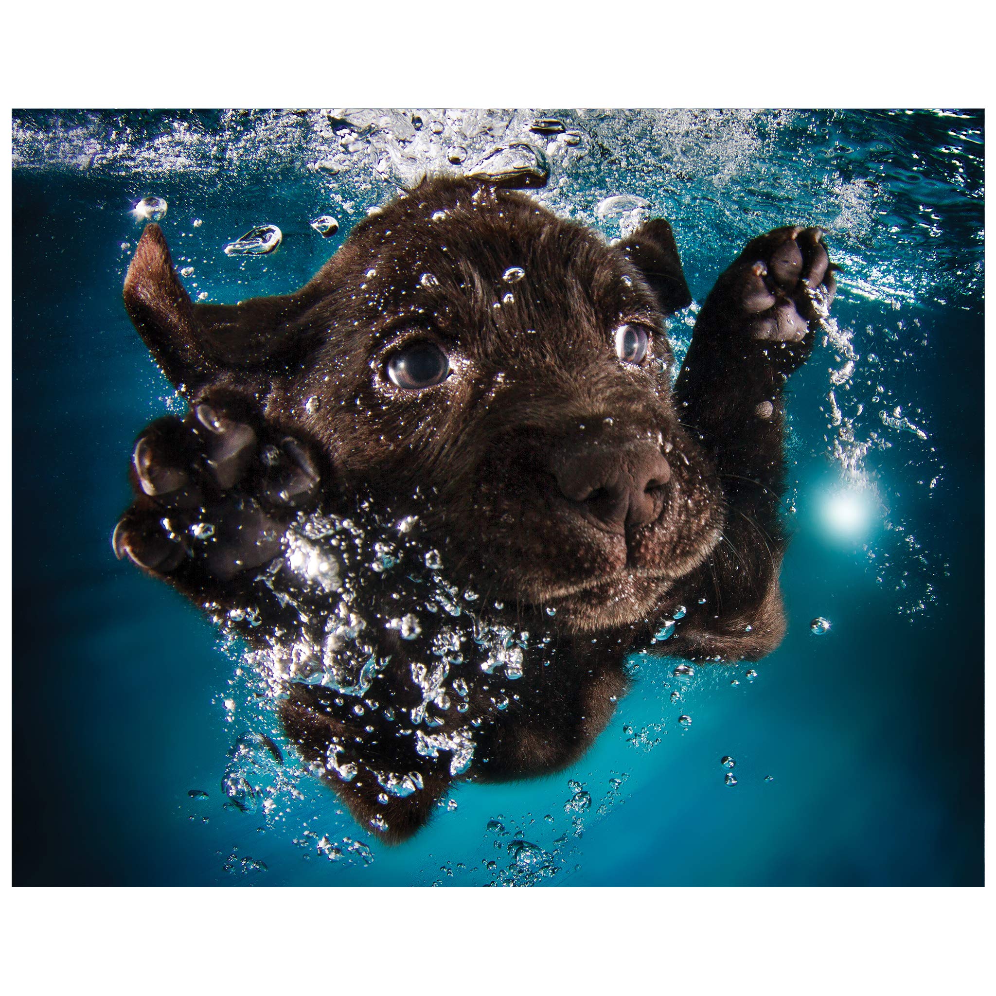 Empire Art Direct Lab Dog Wall Art on Frameless Free Floating Tempered Glass Panel Ready to Hang,Living Room,Bedroom ＆ Office, 20 in. x 0.2 in. x 16 in, Blue,Black