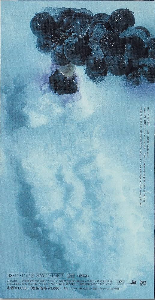 Amazon.co.jp: IN FOREST: ミュージック