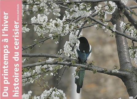 Éditions du Jasmin Du printemps à l'hiver. Histoires du cerisier · Imagier photos tout carton pour bébé
