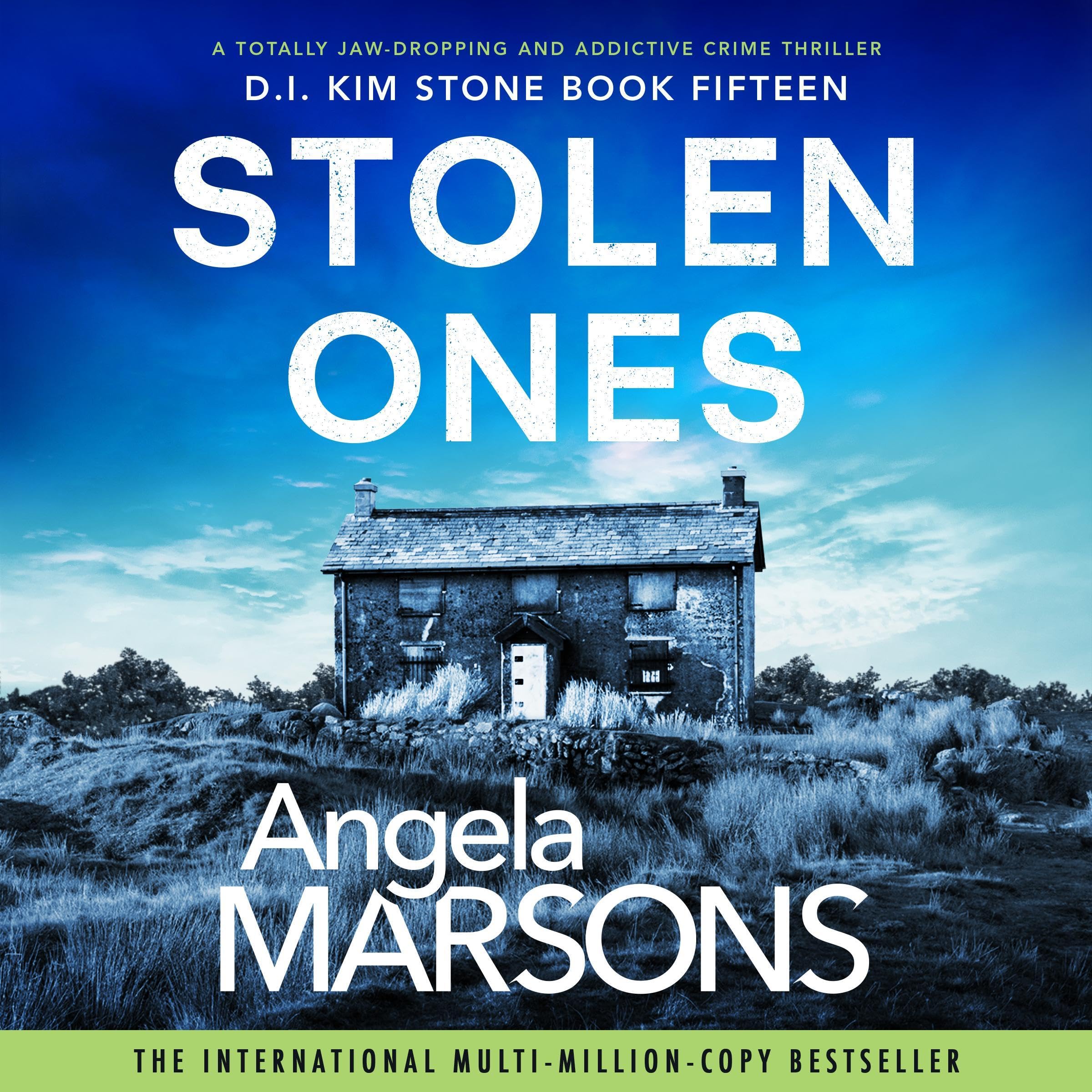 Cover art for Stolen Ones