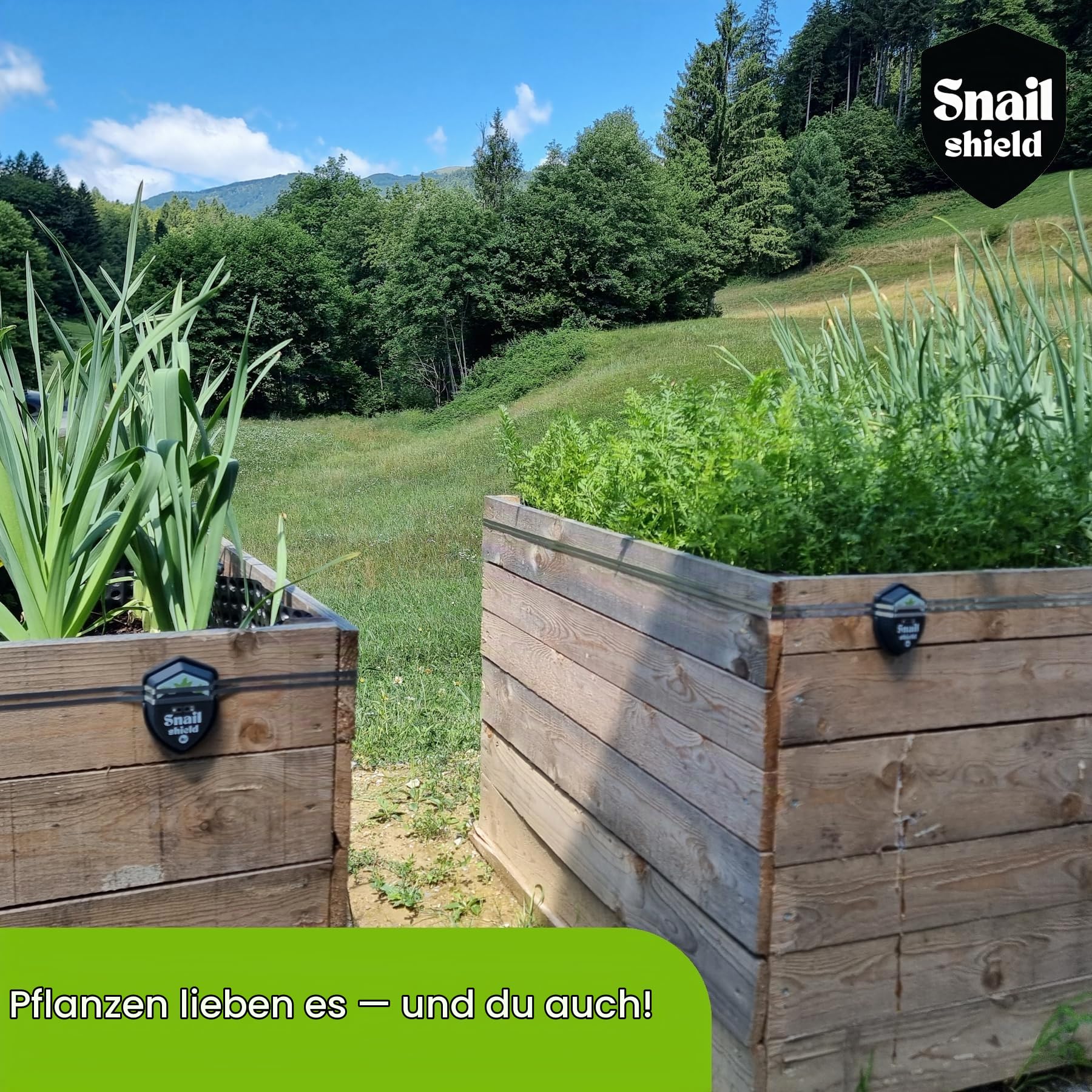 Snail Shield - 2X Schneckenzaun Elektrisch Set für Hochbeet mit 3X 11m Zaunband, Schneckenschutz für Gärten, Gemüsebeet, Pflanzen, Einfache Installation, verbesserte Software 2026