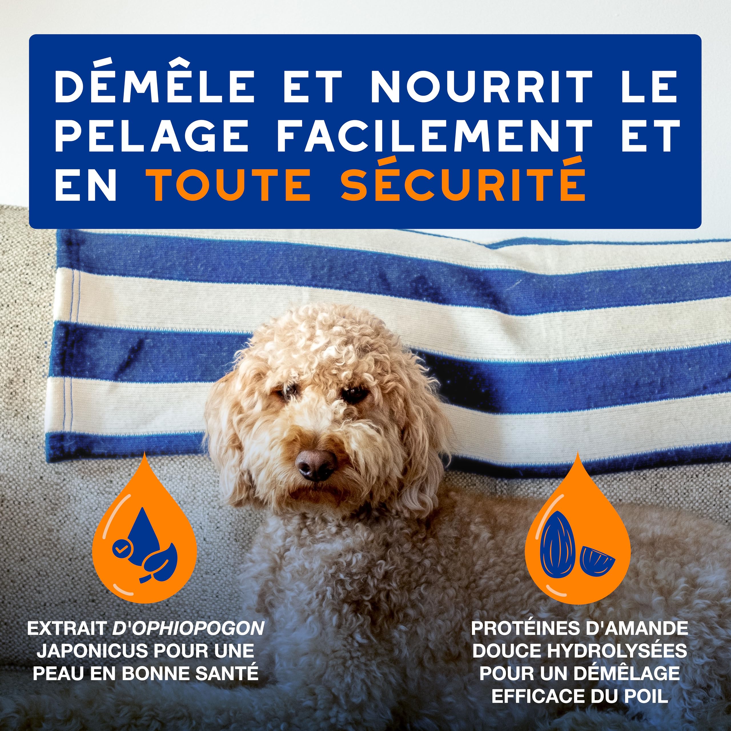 DOUXO Skin & Coat Spa - Ultra-Safe Spray démêlant pour Chiens, 340mL, démêle et nourrit Le Pelage en Toute sécurité, Laisse Le Pelage Doux, Soyeux et sans Noeuds, Formule respectueuse de la Peau.