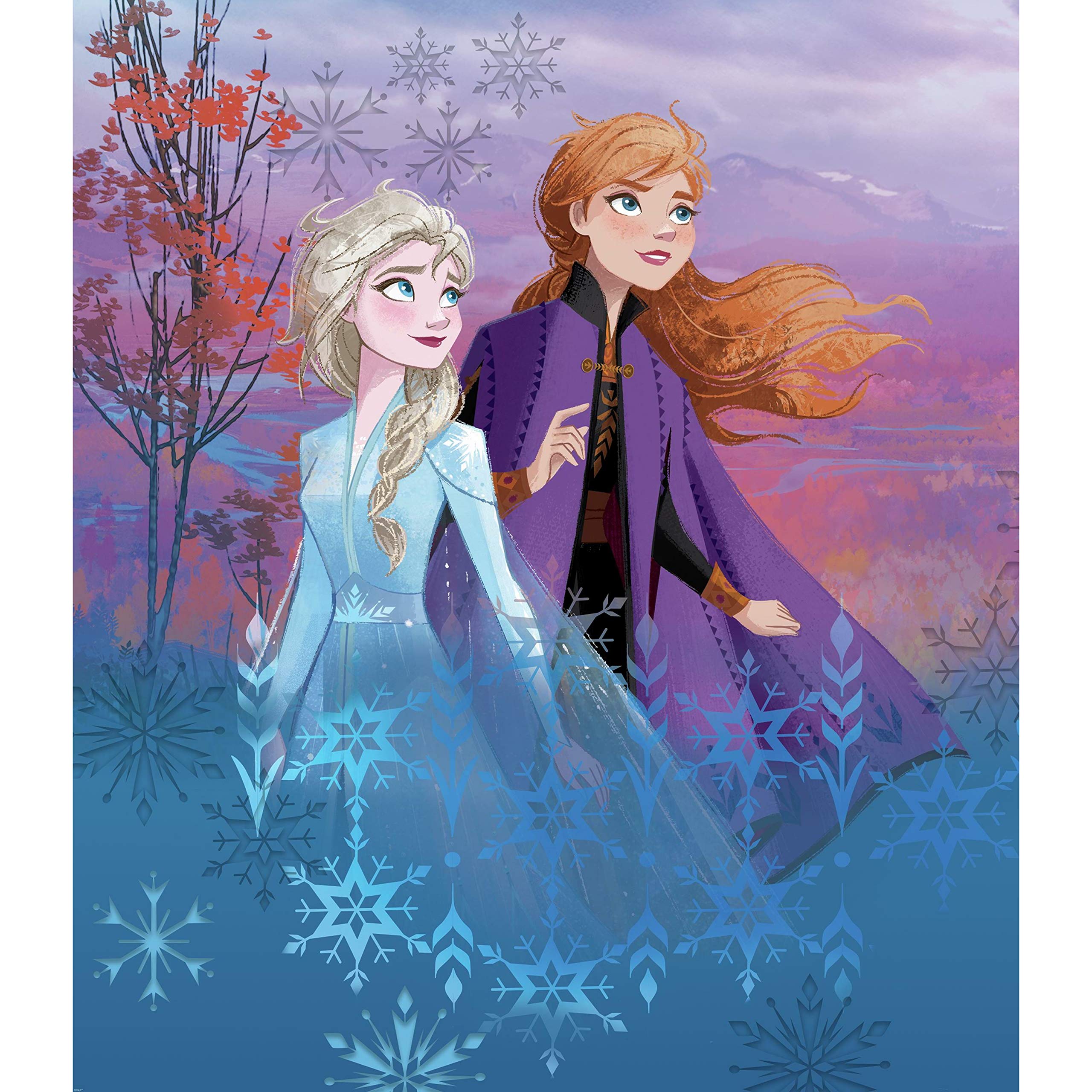 Amazon.co.jp: RoomMates TAP4527LG Disney Frozen II Destiny Awaits
