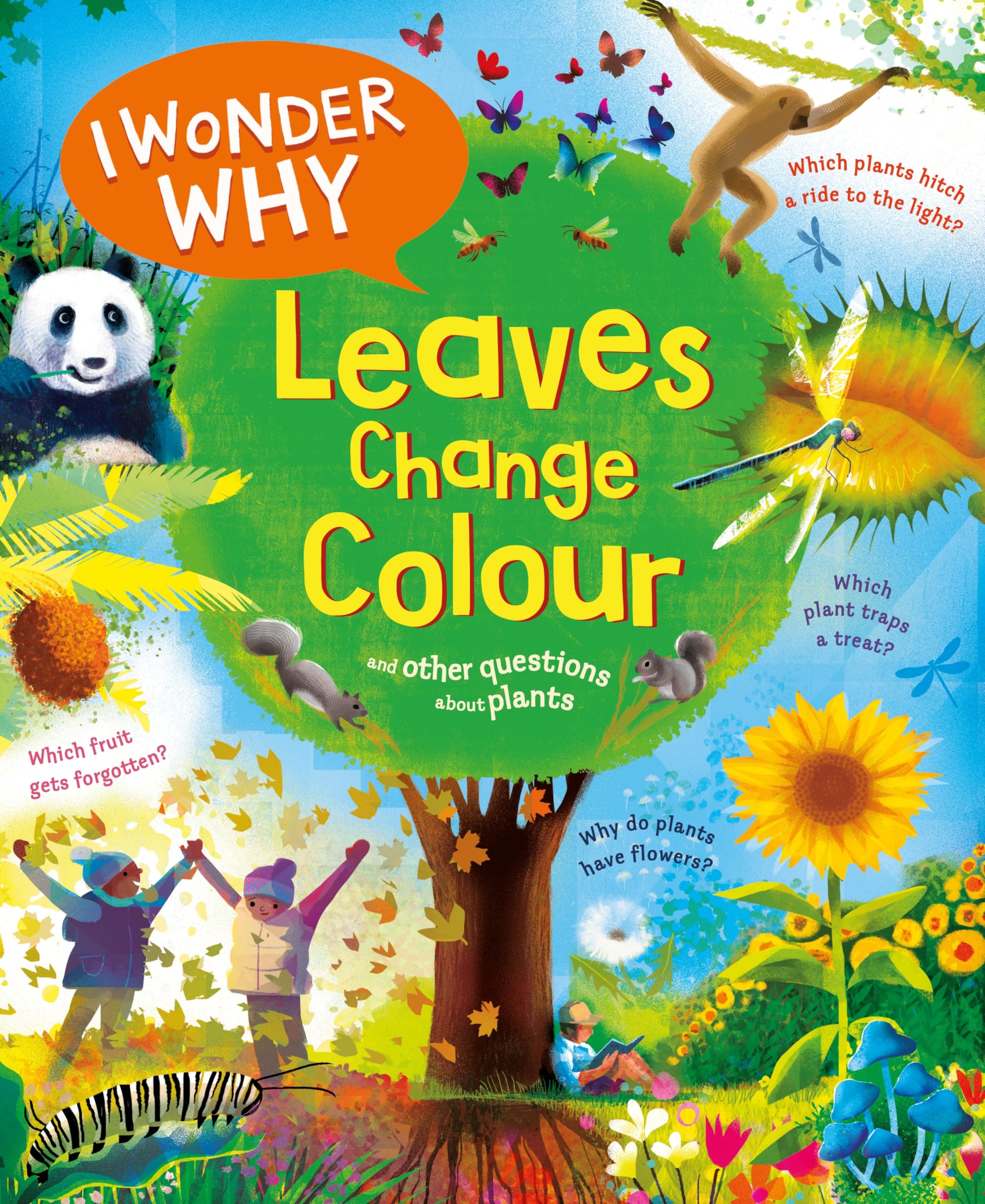 I Wonder Why Leaves Change Colour: and other questions about plants: 8
