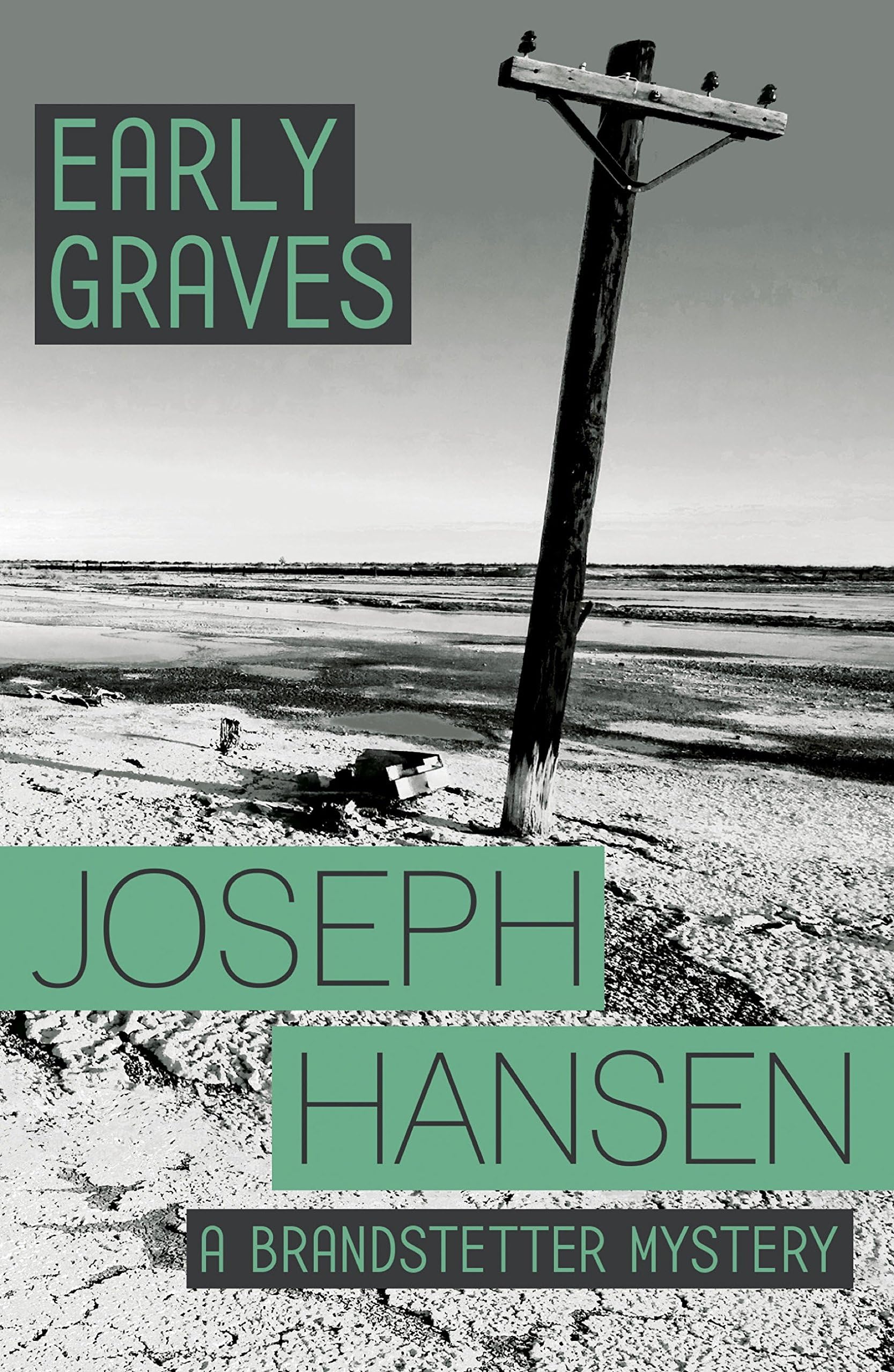 Early Graves: Dave Brandstetter Investigation 9