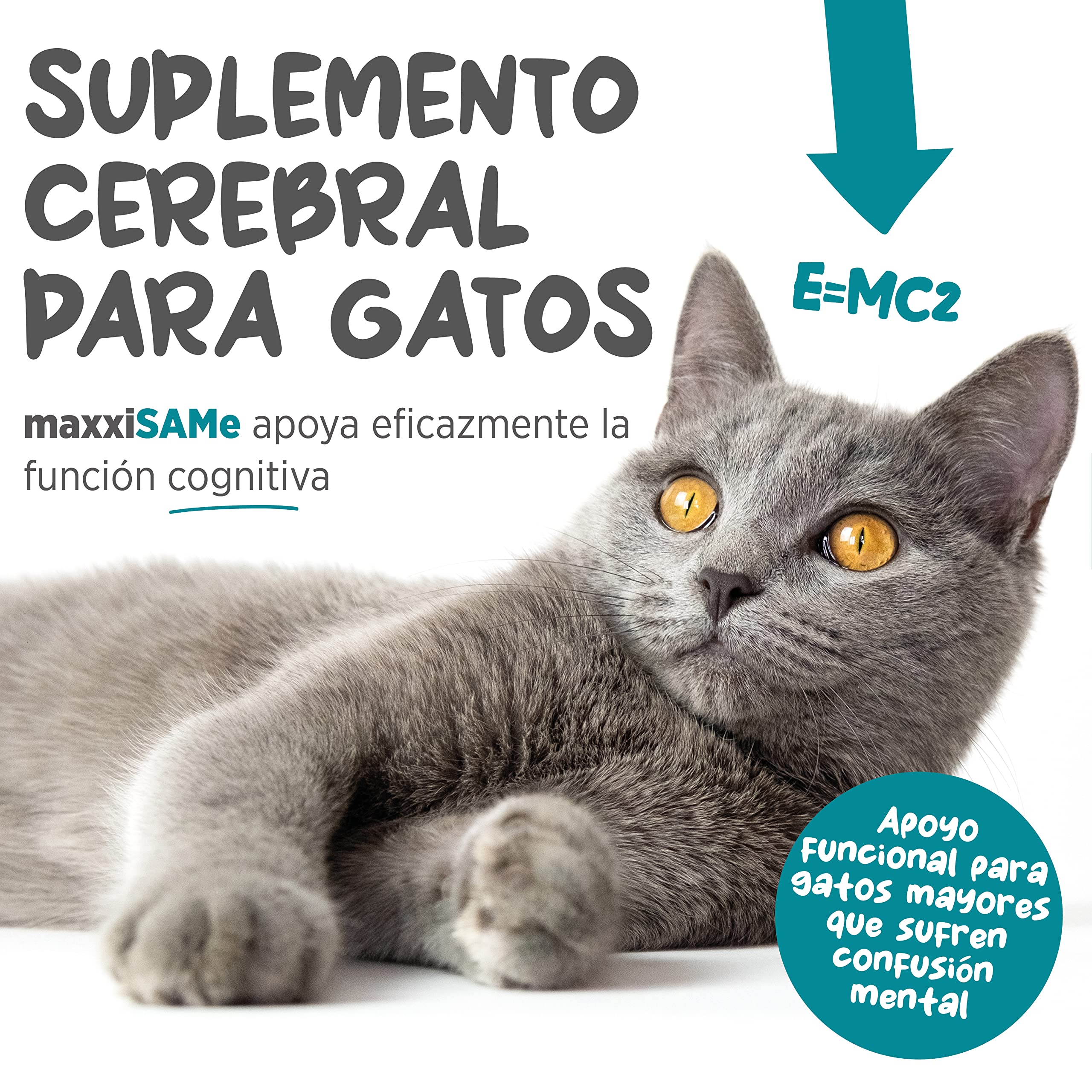 maxxipaws maxxiSAMe Suplemento en Polvo Avanzado de Sam-e – Apoyo para el Hígado, la Cognición y Las Articulaciones para Gatos, 90g