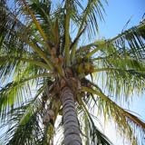 galeere synonym Puzzle game Galee