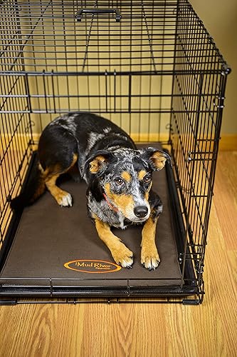 Miniatura 2 de Mud River Crate Cushion