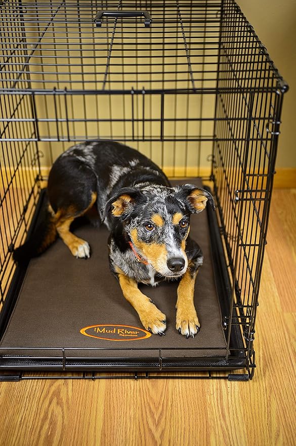 mud river dog kennel