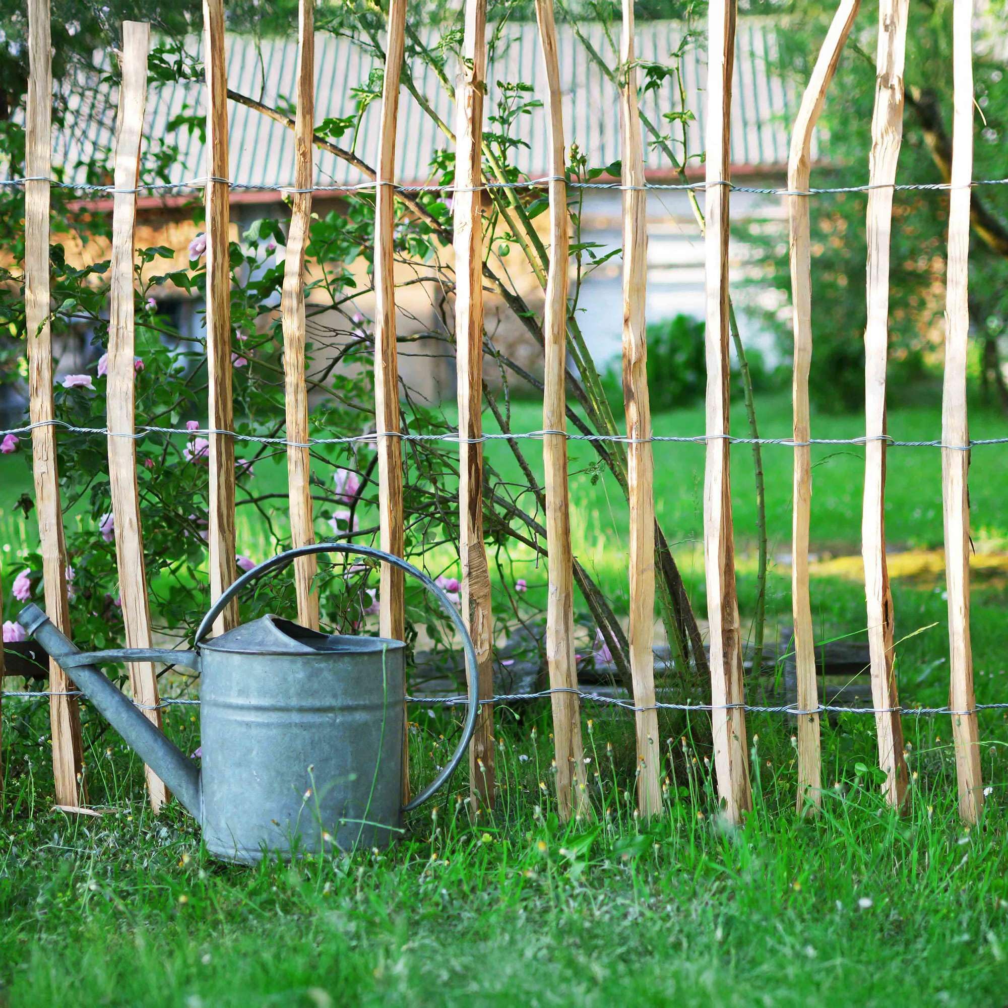 BOGATECO Clôture ganivelle à Lattis Noisetier Bois | 100 cm de Hauteur et 500 cm de Long | Distance entre Lattes 4-5 CM | Clôture de Jardin | Peut être Utilisé Comme de Support pour les Vignes