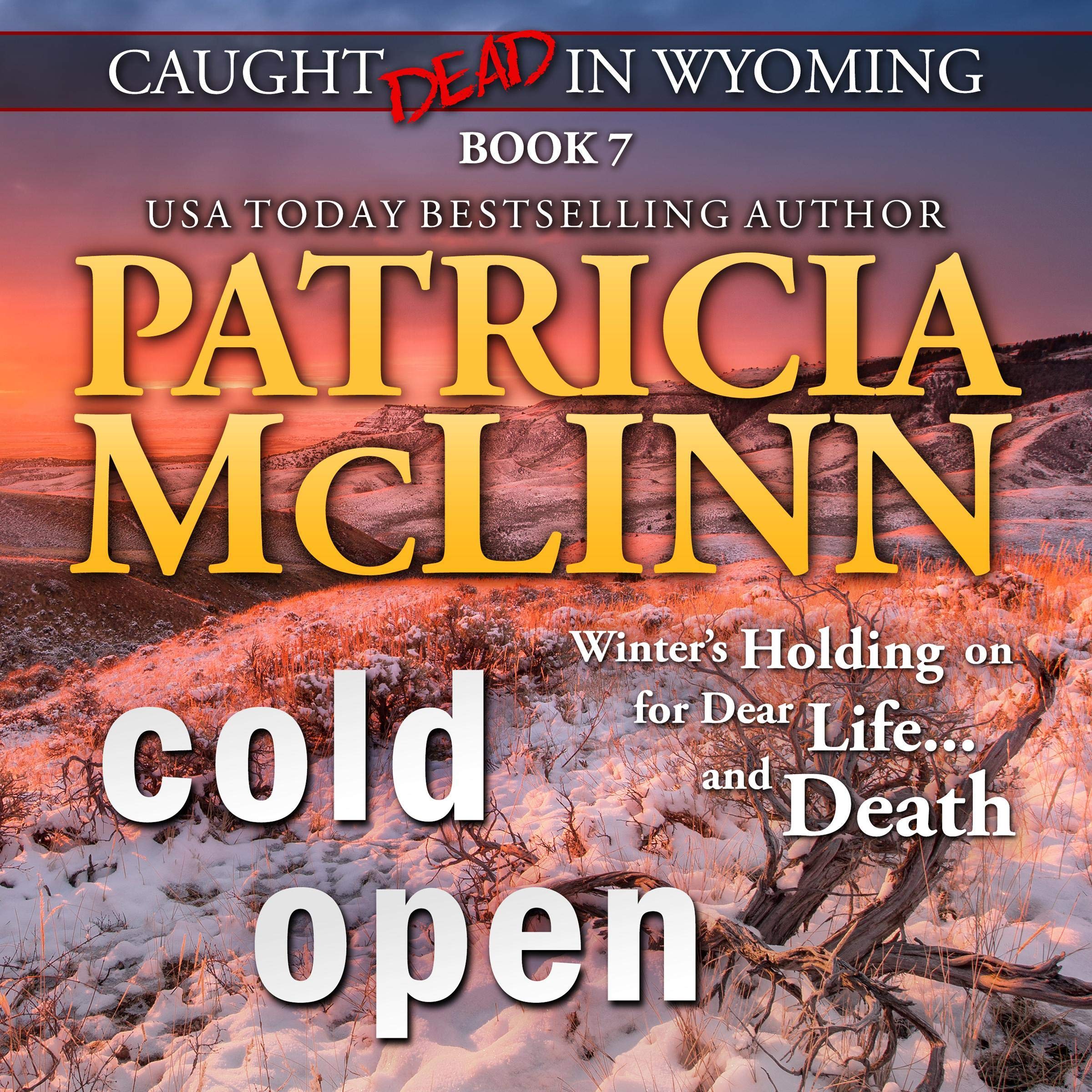 Cover art for Cold Open