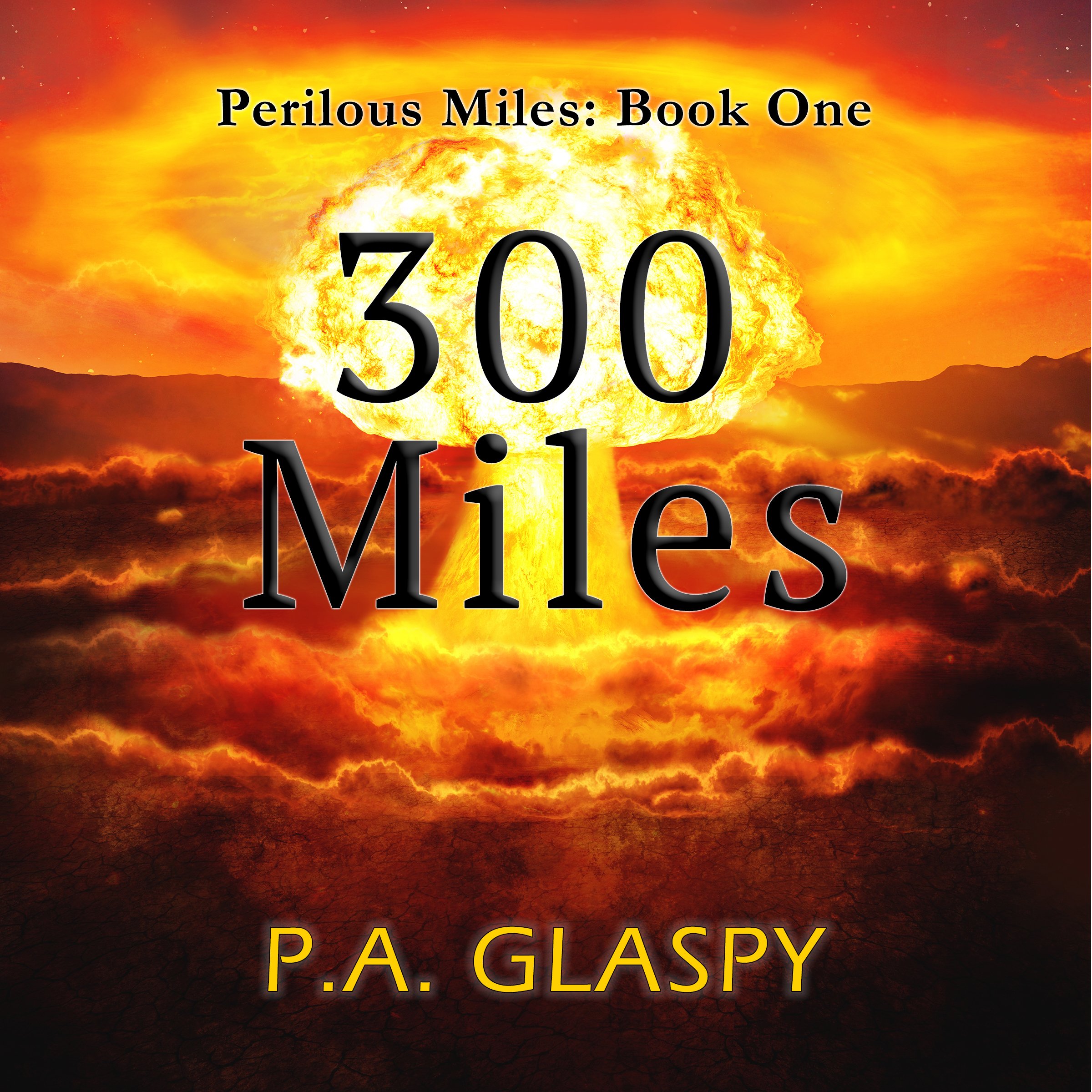 Cover art for 300 Miles