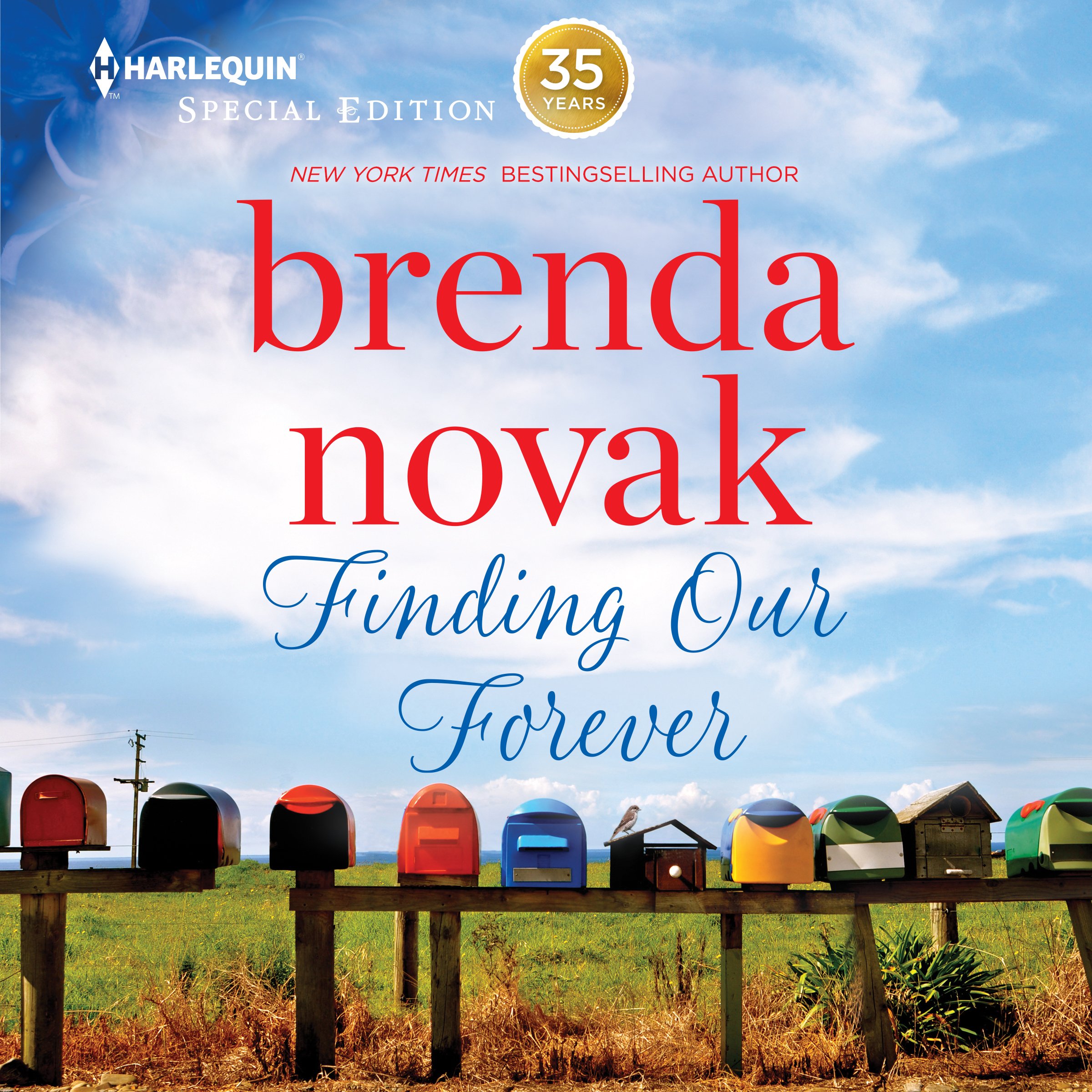 Cover art for Finding Our Forever