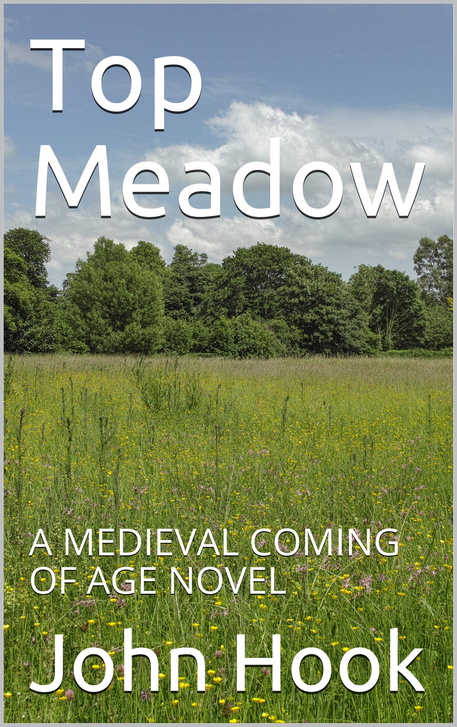 Top Meadow: A MEDIEVAL COMING OF AGE NOVEL