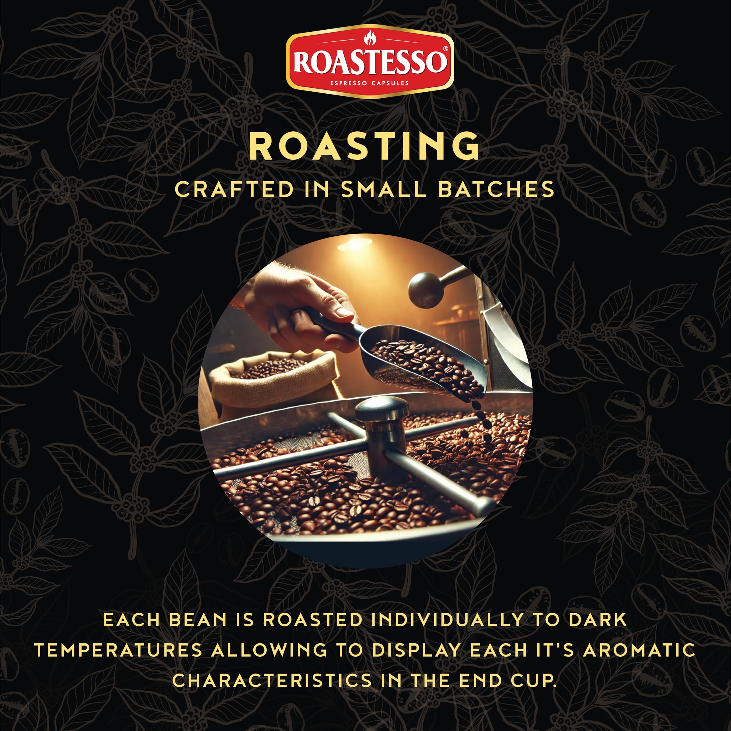 Roastesso - Cápsulas de café espresso (Hioncaff, 10 unidades (paquete de 8))