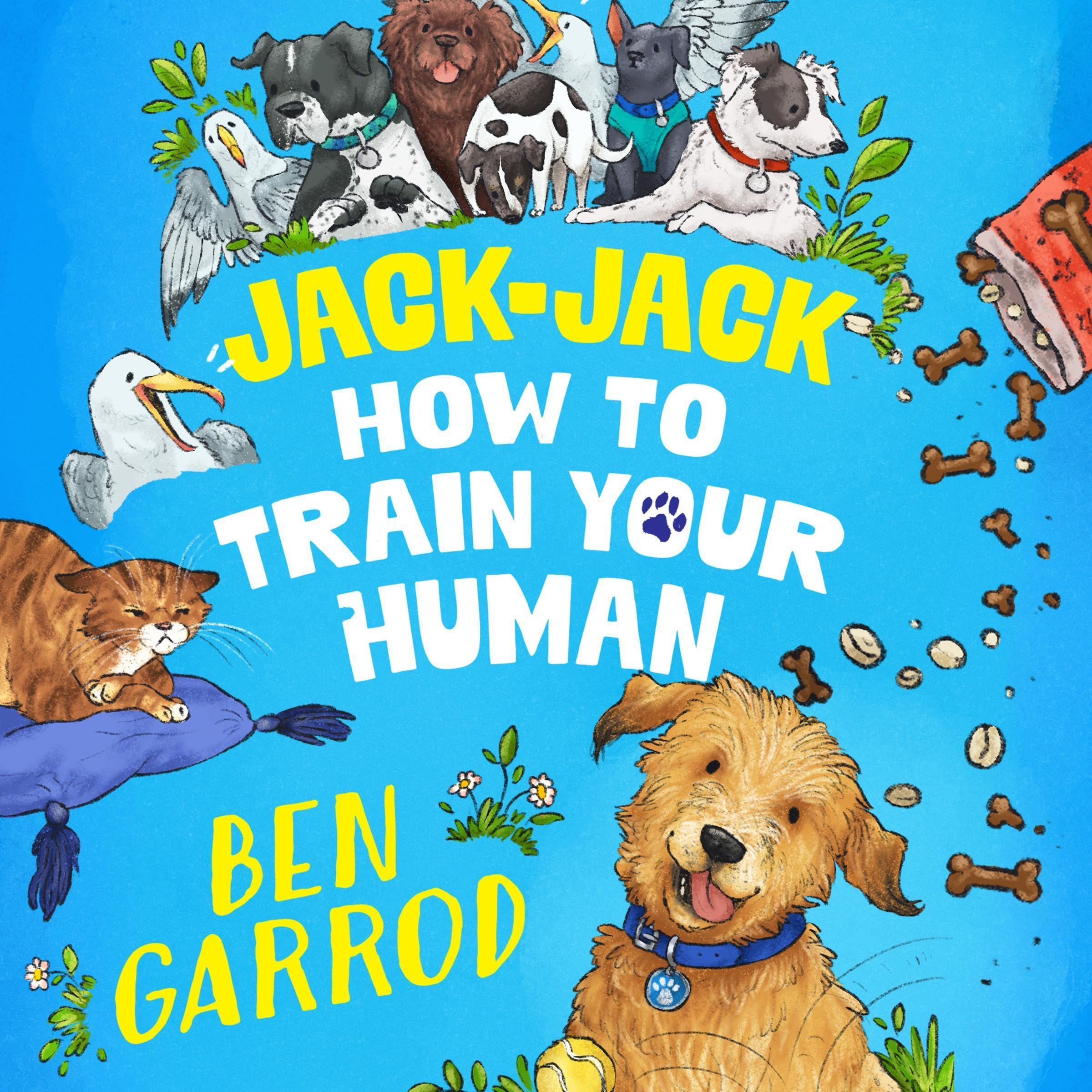 Jack-Jack, How to Train Your Human