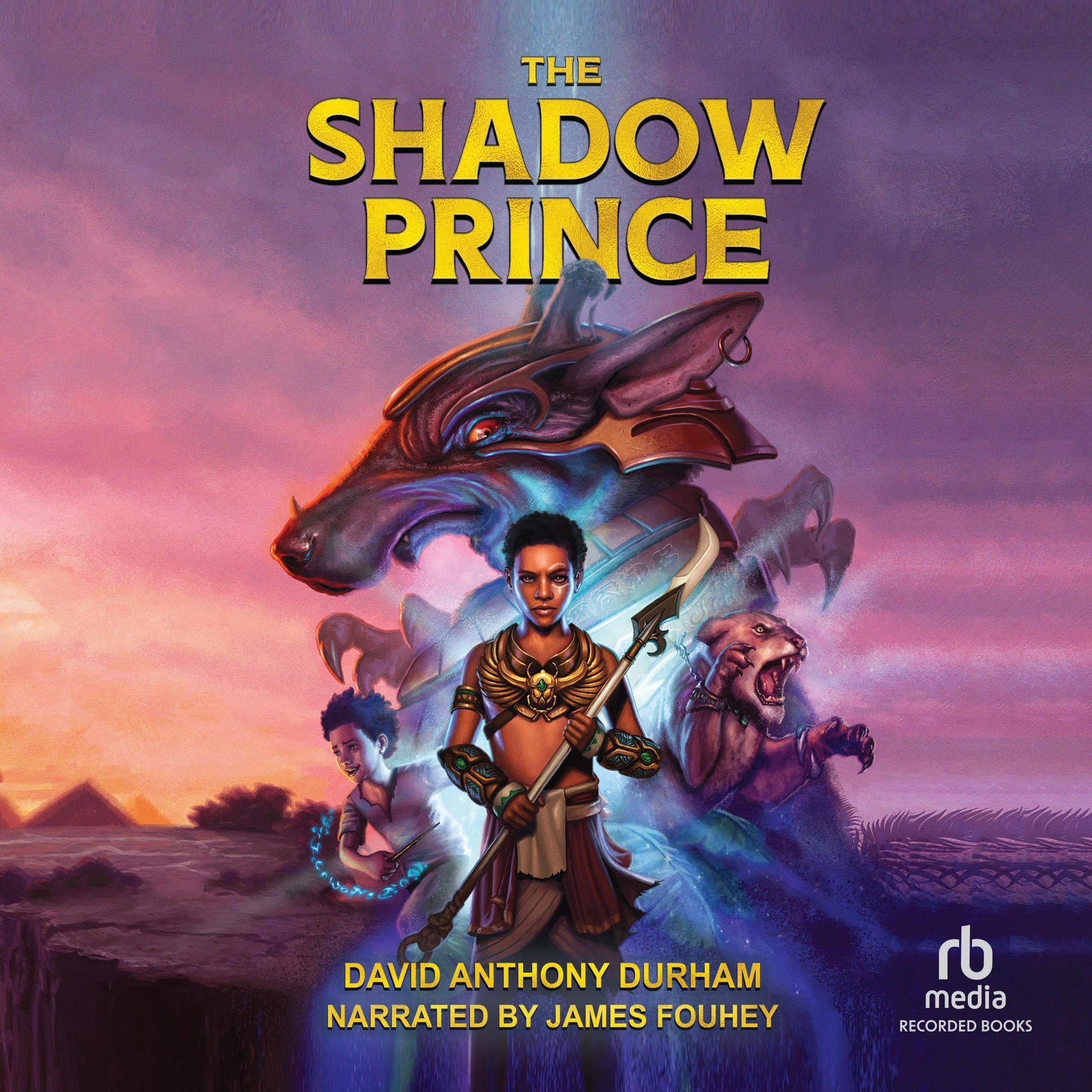Cover art for The Shadow Prince