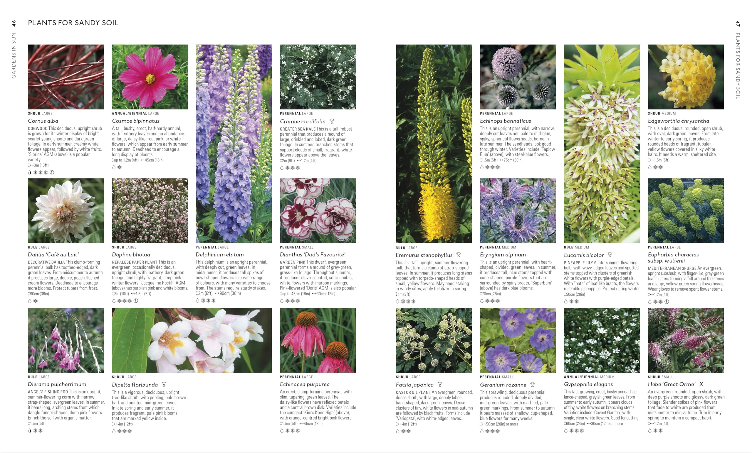 RHS What Plant Where Encyclopedia: An Expert Guide to More Than 3,000 Plants