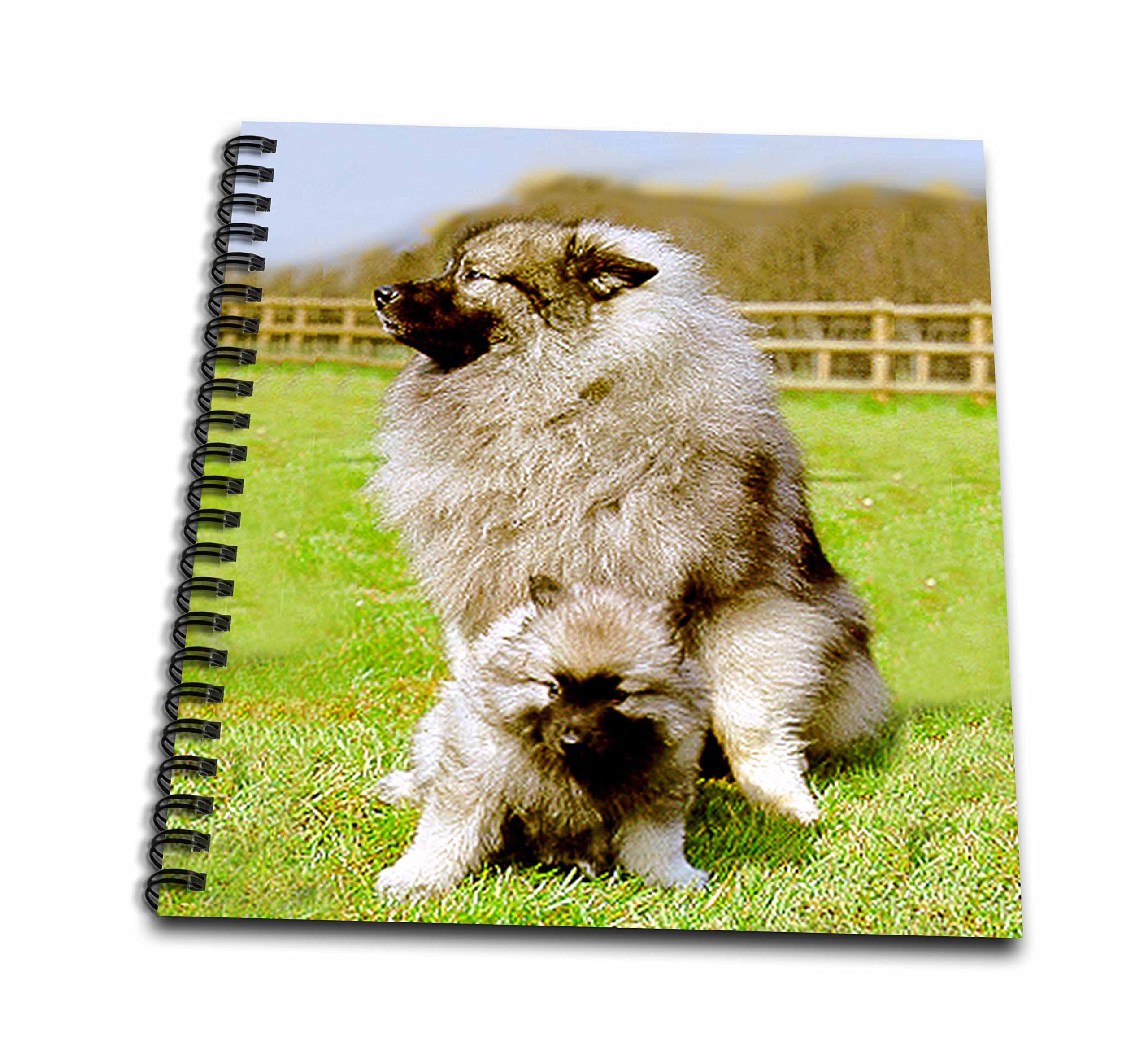 Keeshond Carnet de souvenirs 3dRose cadeau idéal pour maître de chien