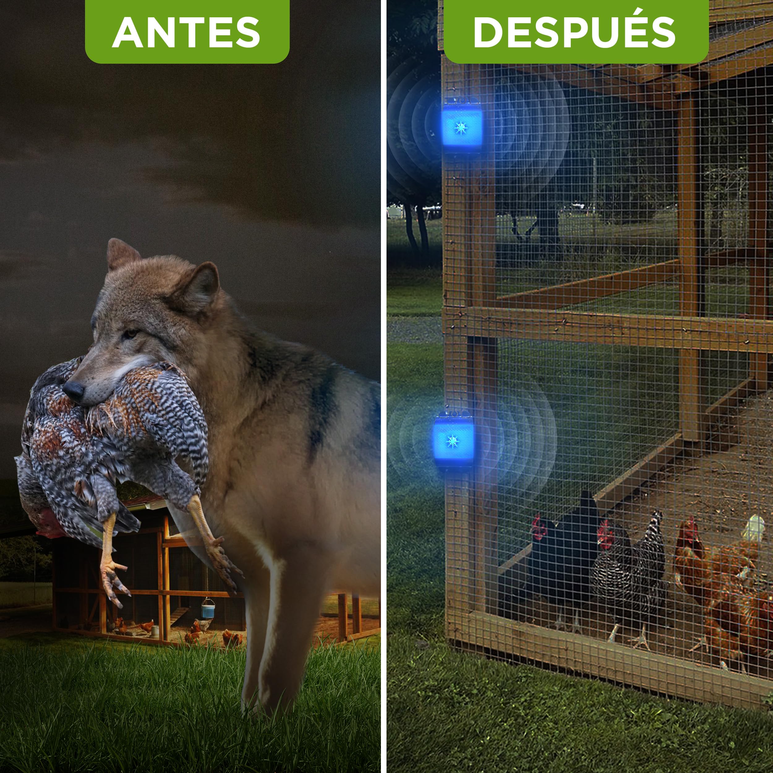 ISOTRONIC Repelente ultrasónico para Ratones y Ratas: Repelente de plagas con ultrasonido y luz LED Azul, disuasivo para Ratones sin Veneno ni trampas, Alcance Efectivo de 40 m² (2 Unidades).