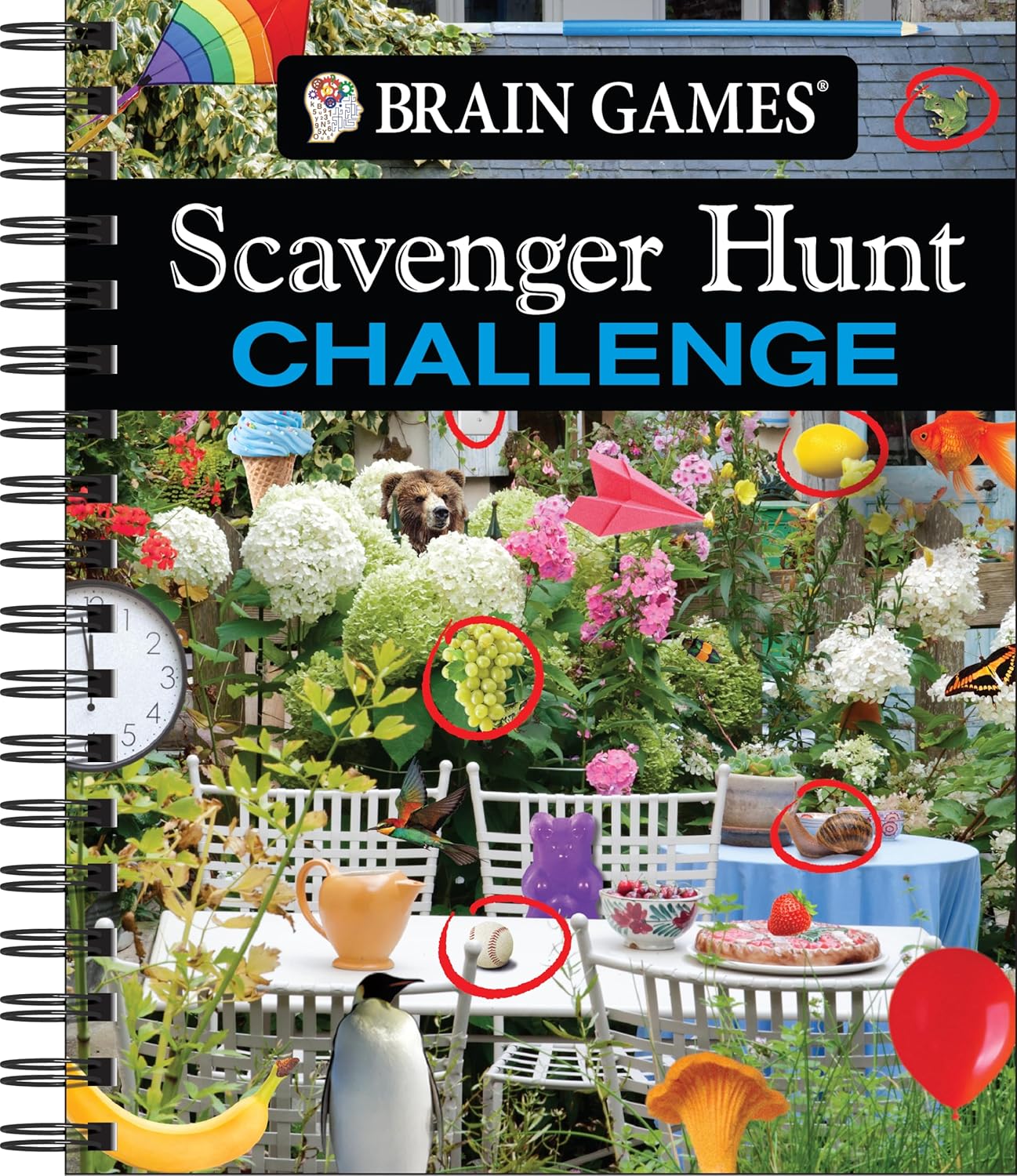 Brain Games - Scavenger Hunt Challenge (Volume 2)