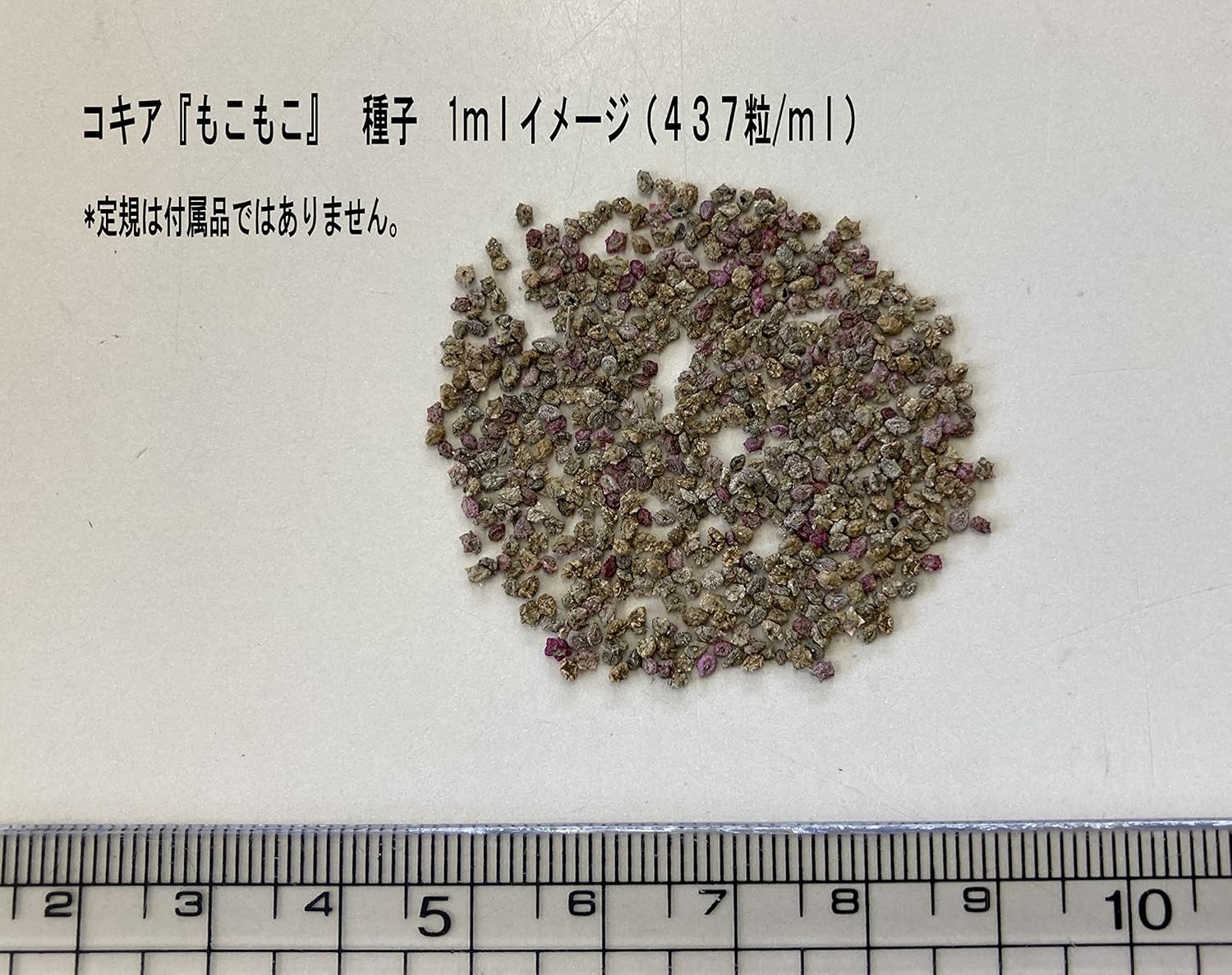 Amazon 福花園種苗 コキア選抜 もこもこ 種子10ｍｌ詰 緑 草