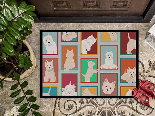 Vista 63 de Caroline's Treasures MLM1087MAT - Felpudo de perro de montaña bernés de 18 x 27 pulgadas, para interiores y exteriores, para entrada, Bernese