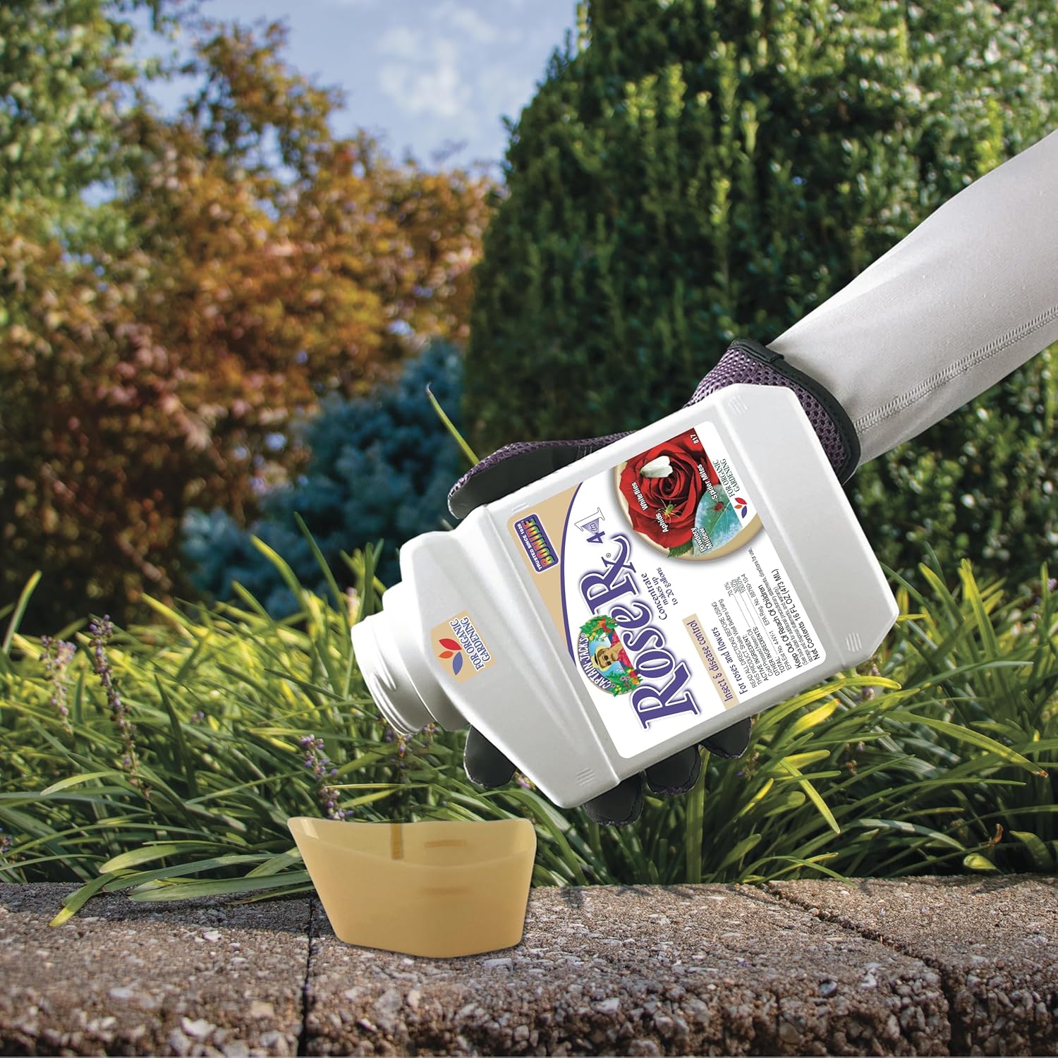 Bonide Captain Jack's Rose Rx 4-in-1 Insect & Disease Control, 16 oz Concentrate Neem Oil for Organic Gardening