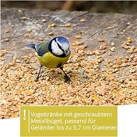 Wildlife Friend Madáritató és Etető Tál XL - Erkélytartóval, 30 cm Átmérőjű Műanyag Madáretető Állomás Vadmadaraknak, Időjárásálló Kerti Ita 4
