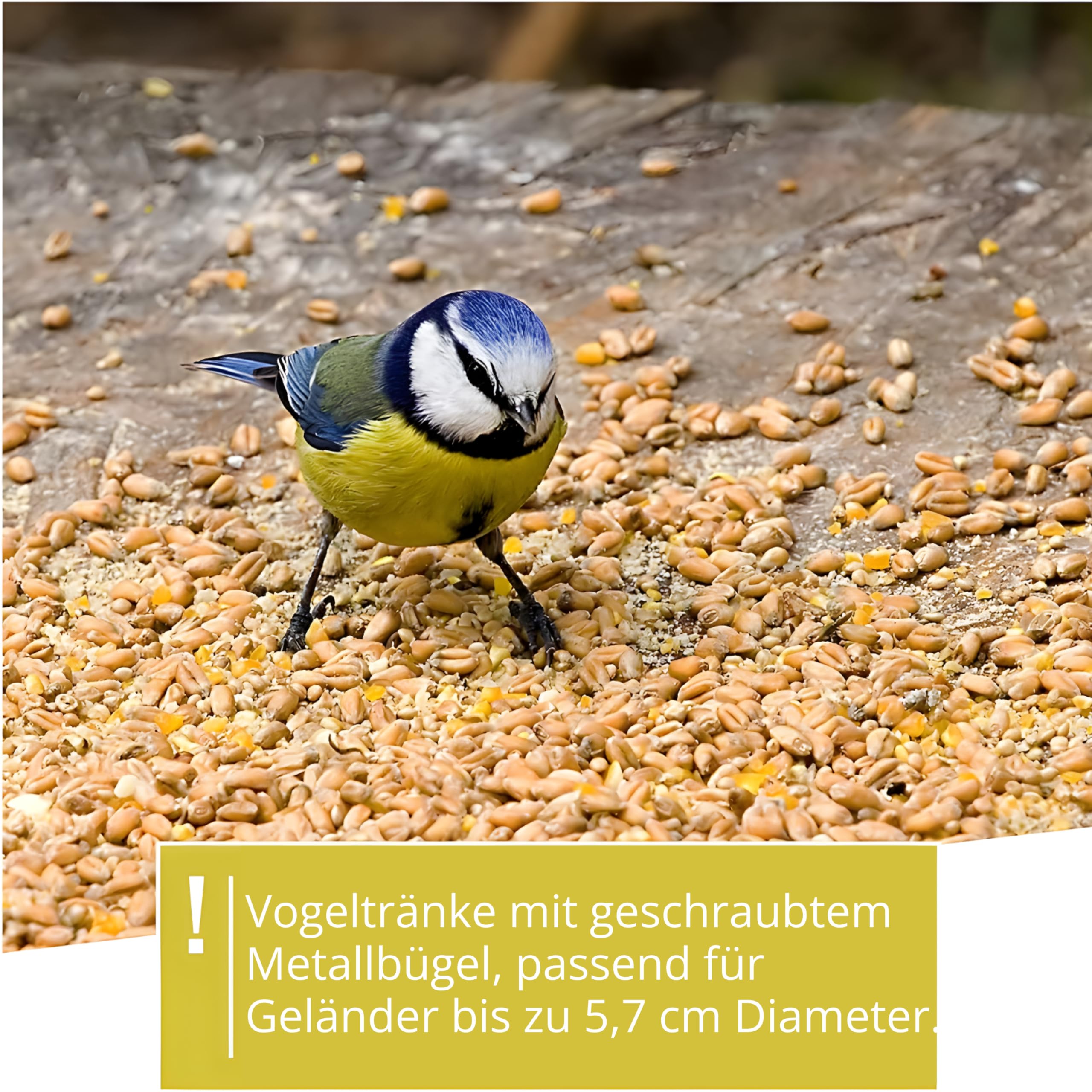 WILDLIFE FRIEND Vogeltränke hängend für Balkongeländer - frostsicher, Vogelbad Balkon, XL Vogelbad Garten für Wildvögel, Wassertränke für Vögel - Vogelwassertränken - Vogelbadewanne für Balkongeländer