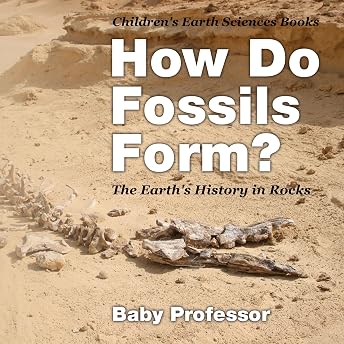 How Do Fossils Form? Audiobook by Baby Professor episode artwork