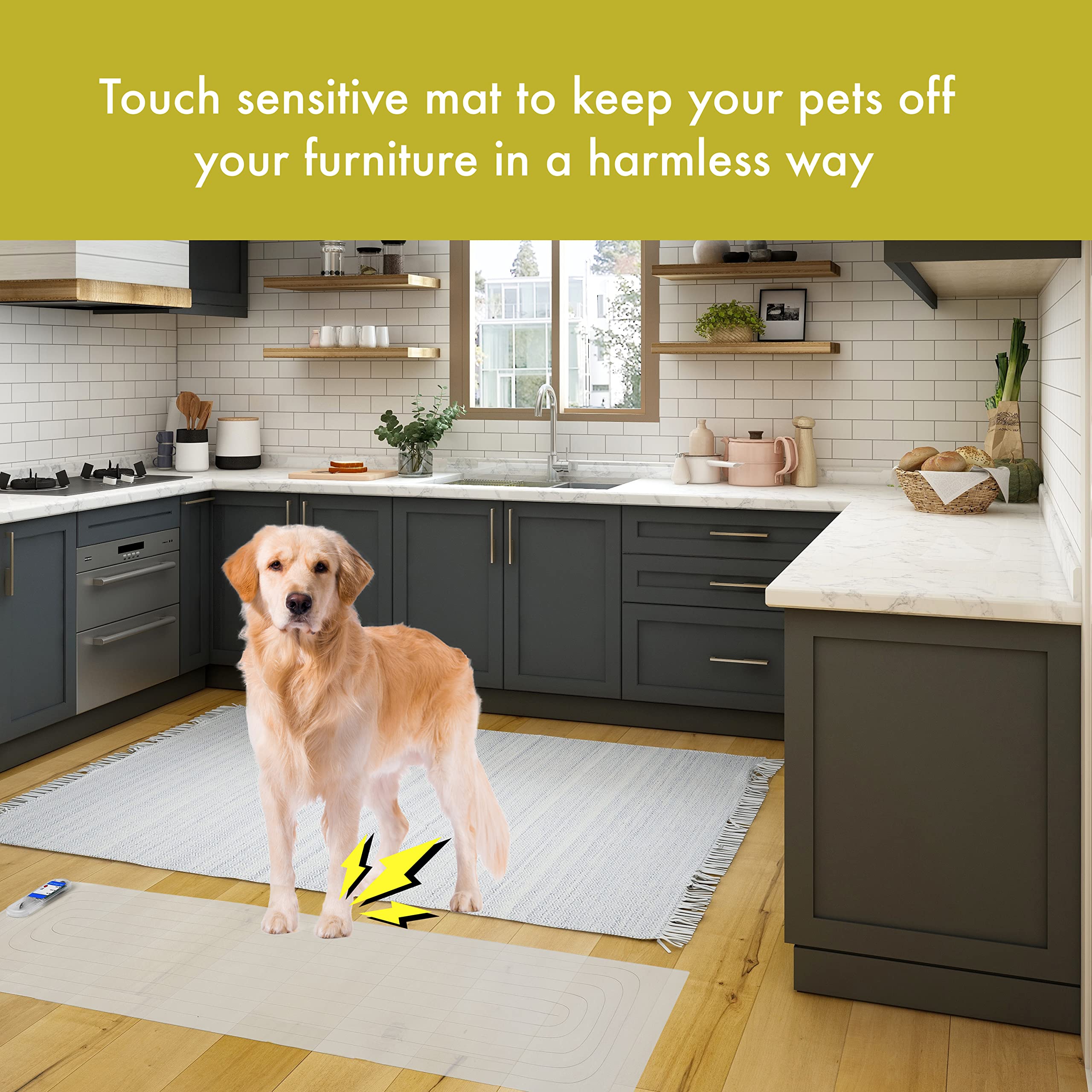 How To Keep Dogs Off Kitchen Counters