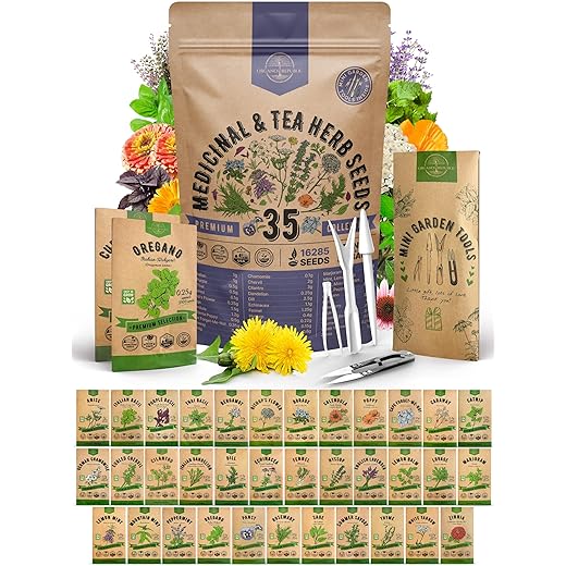 35 Medicinal & Tea Herb Seeds Variety Pack for Indoor & Outdoors. 16,335+ Non-GMO Heirloom Garden Seeds: Anise, Bergamot, Borage, Cilantro, Chamomile, Dandelion, Rosemary Seeds & More
