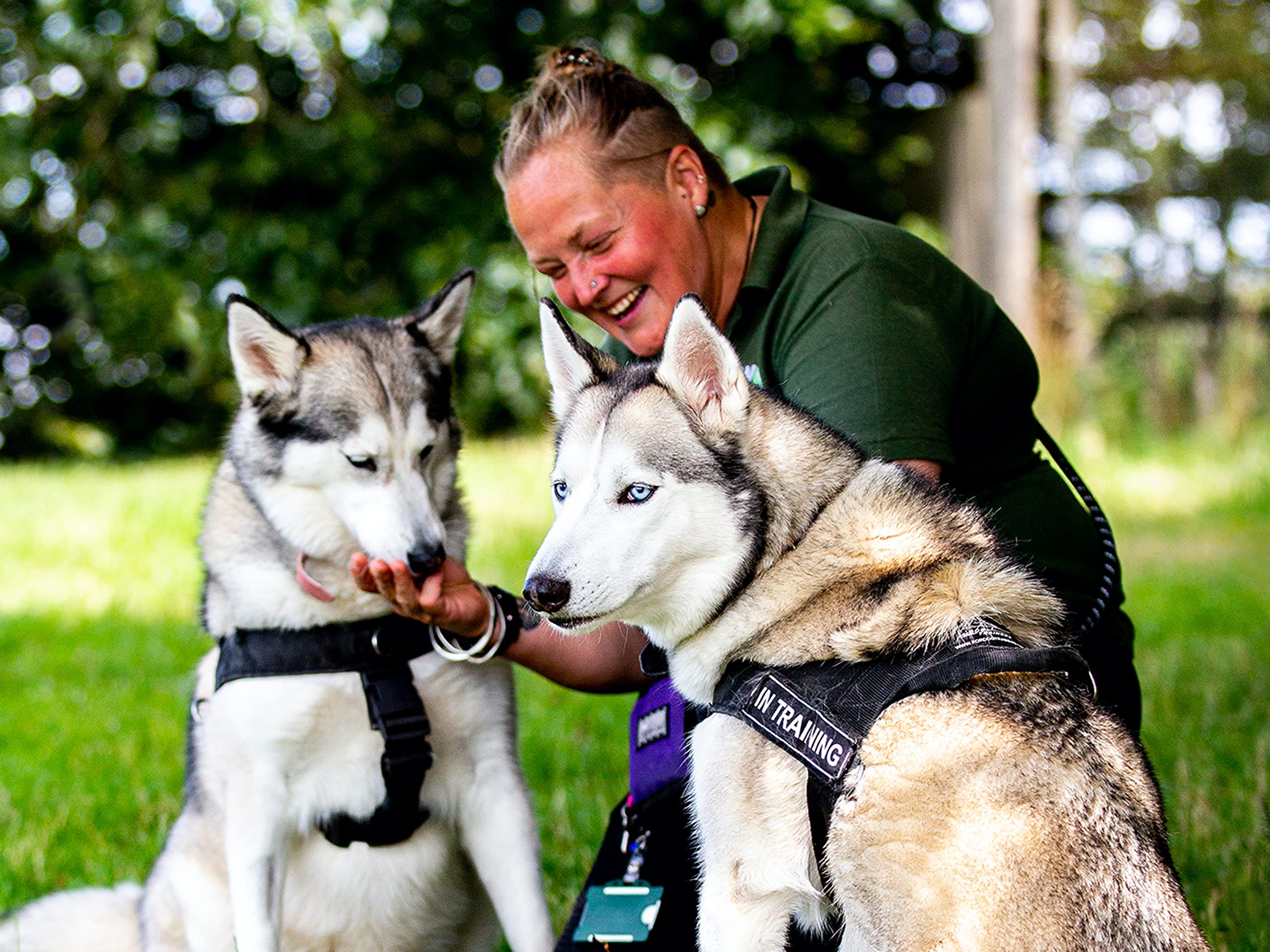 Watch The Dog House UK Season 2 Prime Video