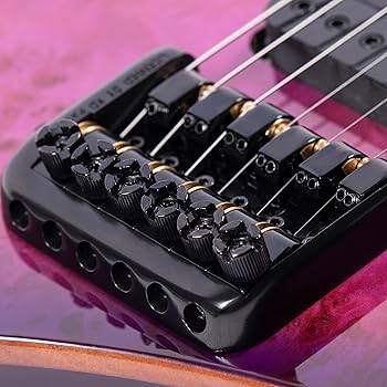 Amazon.com: Volgoa GTWT-01 6-String Headless Electric Guitar