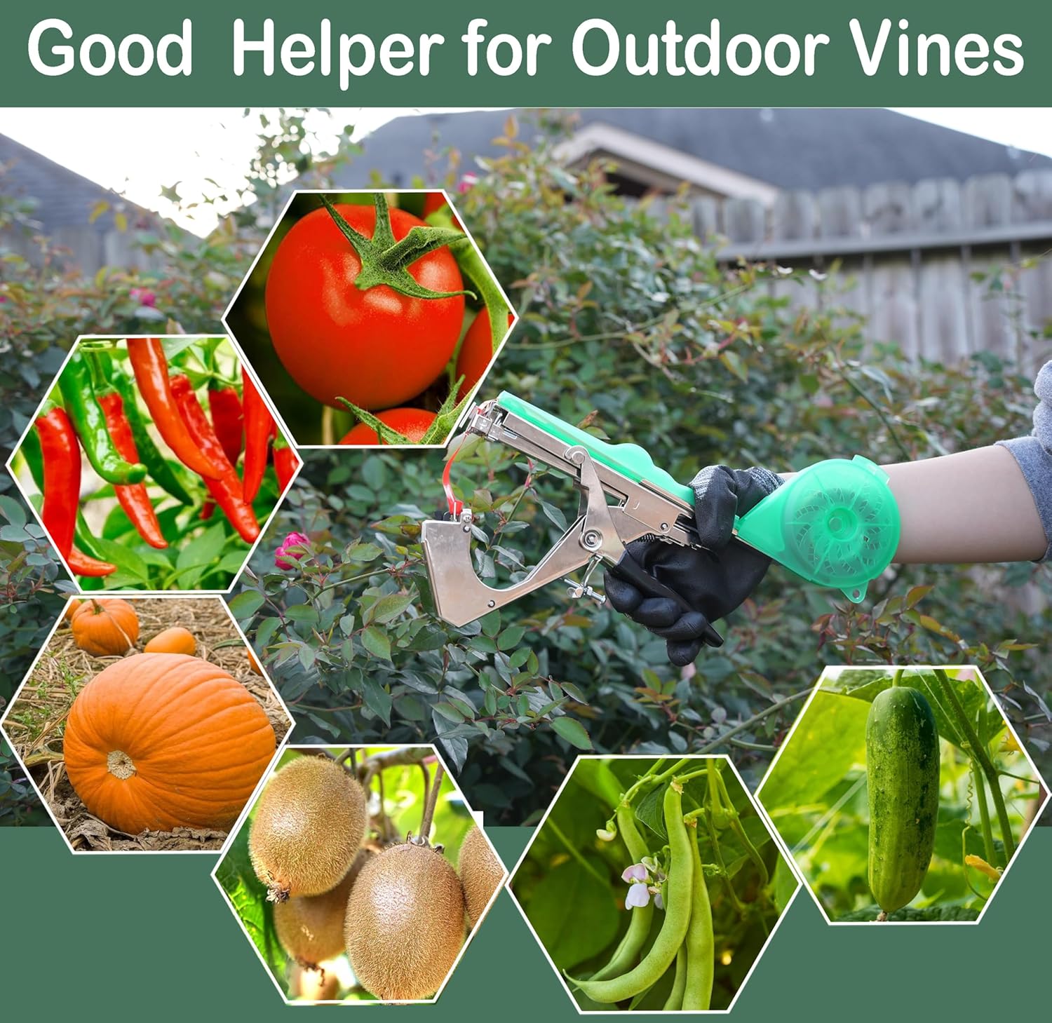 Miyake Plant Tying Machine, Plant Tape Gun to Tie Up Vine Tomatoes Grapes Cucumbers Flowers, Quickly Garden Tape Tool with 30 Rolls Green Tape & 10000 Staples, Replacement Blade