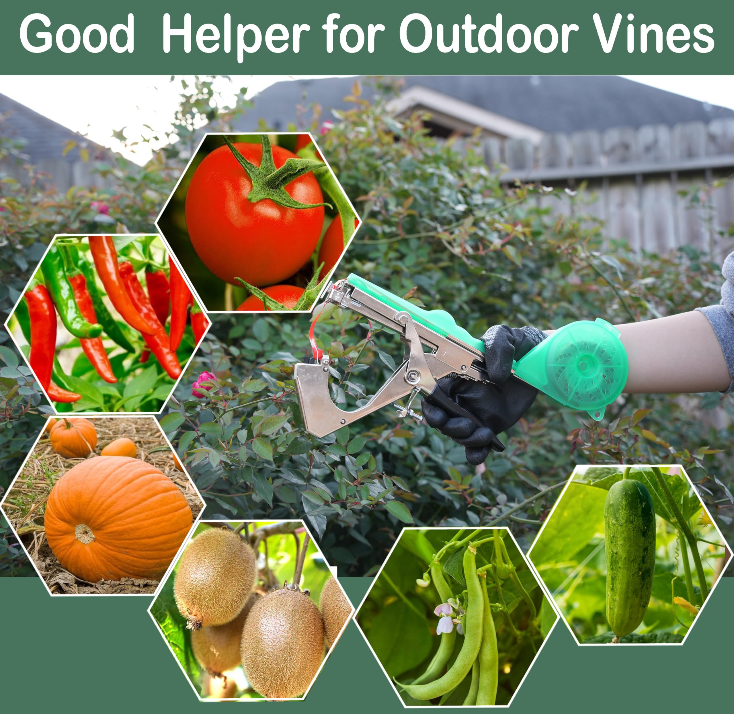 Miyake Máquina atadora de plantas, 30 rollos, 10000 grapas, cinta para plantas, cinta de jardín, tomates de uva, uva, vid, pepino, pimienta, accesorios de jardín para hacer jardinería rápida y fácil