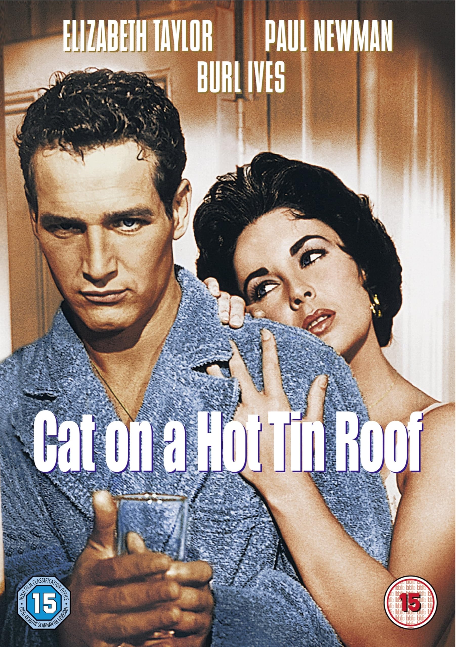Cat on A Hot Tin Roof
