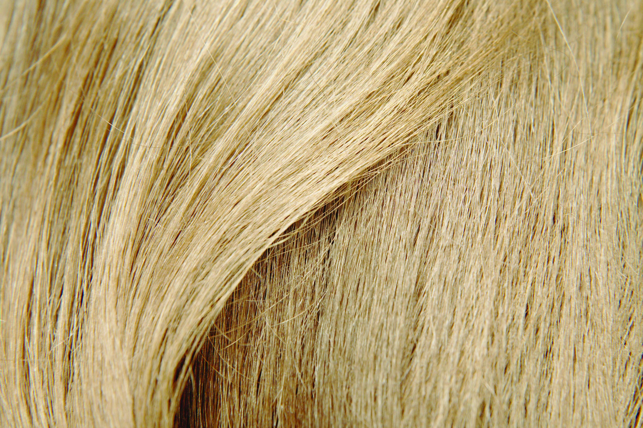 Mini & Jumbo - 1x 400ml + 1x 100ml Hairfor2 (Dunkelblond)
