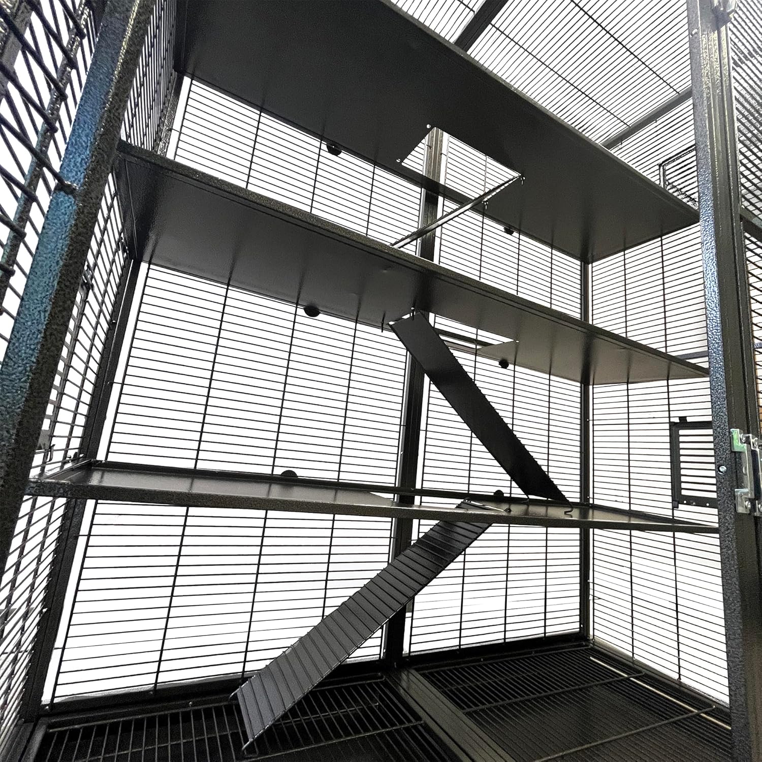 Borneo Small Animal Cage - for Sugar Gliders, Squirrels, Marmosets & Other Small Pets (Cage + Shelf & Ladder Set)