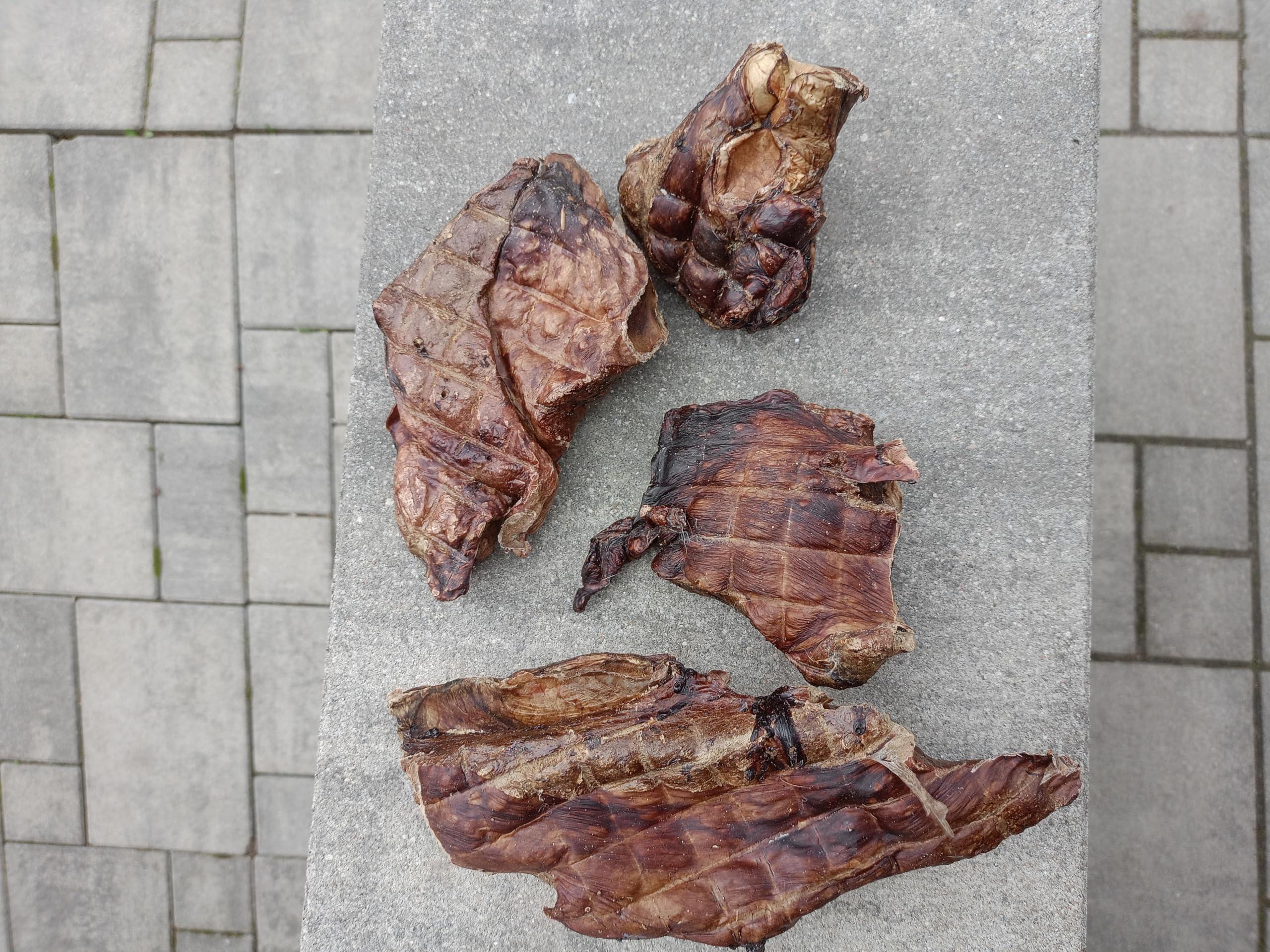 Lobe de Cheval séchée pour Chiens – 1 kg – Friandises hypoallergéniques pour Chien – Article à mâcher pour Chien – Viande déshydratée pour Chiens – Temps de Mastication – Friandises pour Chien