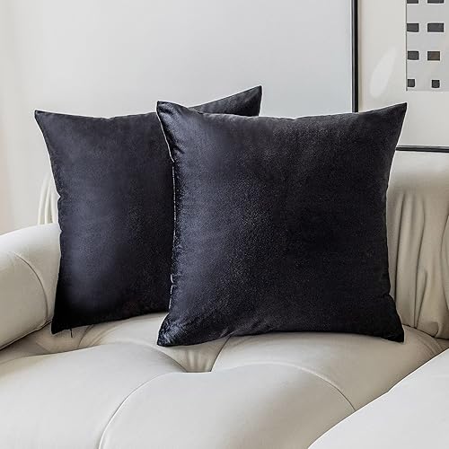 Demetex Juego de 2 fundas de almohada de terciopelo de 18 x 18 pulgadas almohadas decorativas de lujo suaves para sofá cama habitación sofá 18 x 18