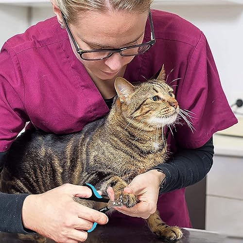 Vista 64 de Candure Cortaúñas para gatos, conejos, hámsters, pájaros, recortadora de acero inoxidable con bordes angulados precisos para un aseo fácil y seguro