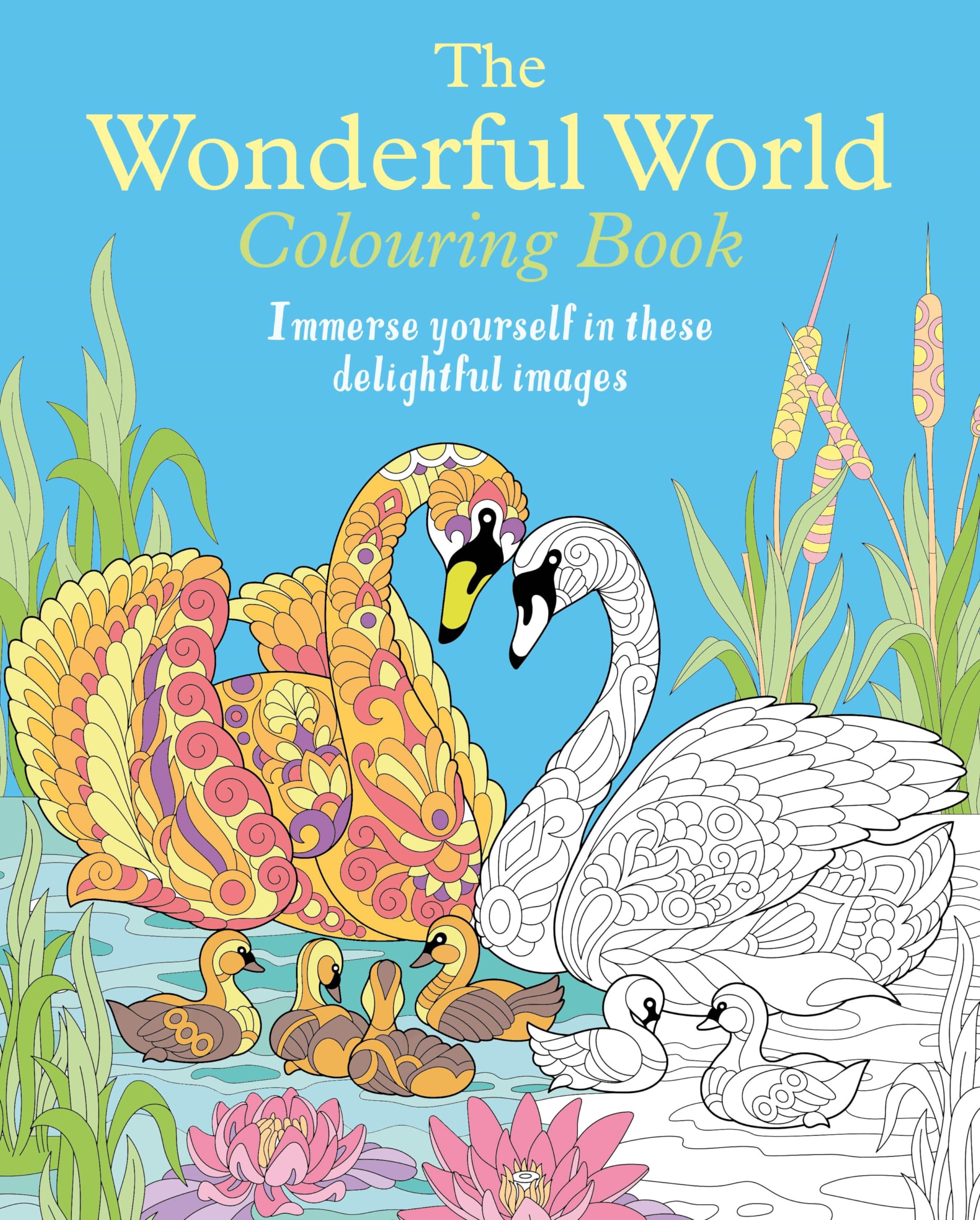 The Wonderful World Colouring Book: Immerse yourself in these delightful images (Arcturus Creative Colouring)
