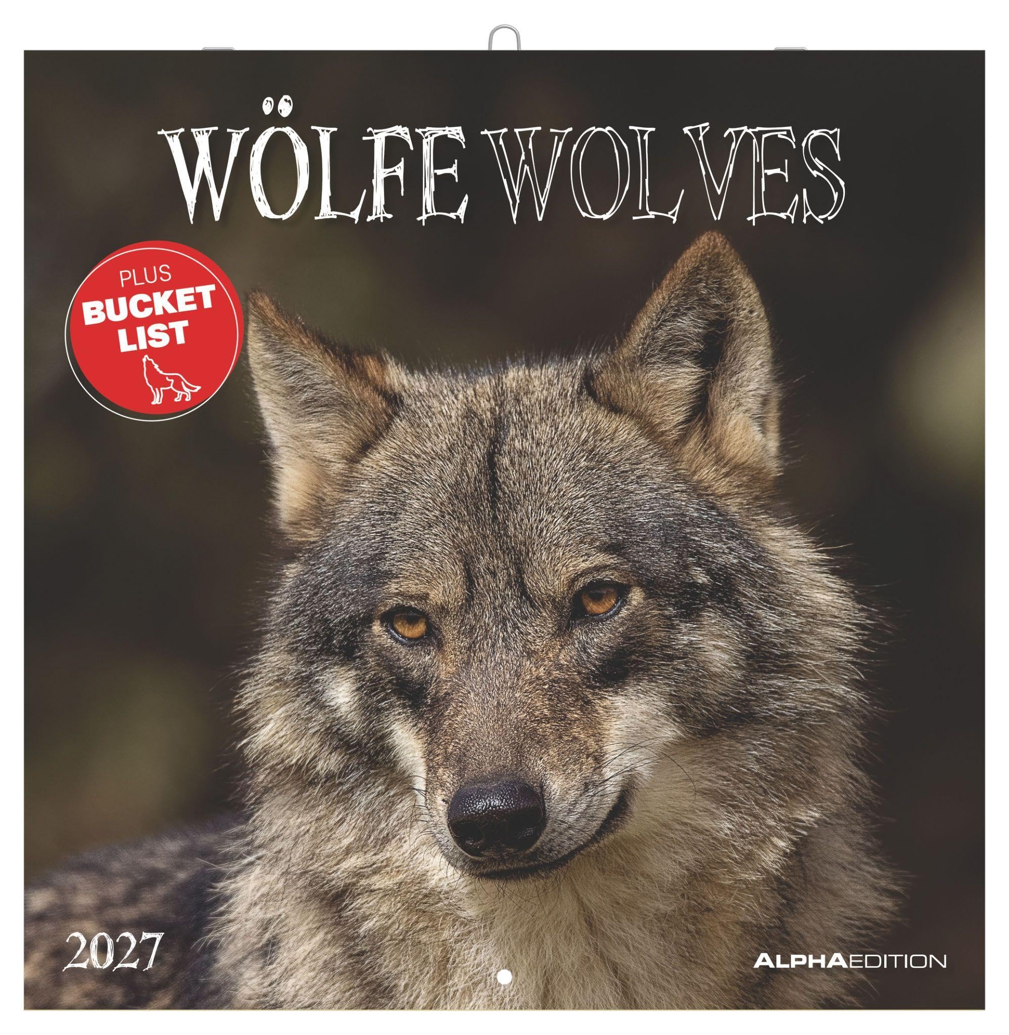 Wölfe 2027: Wandkalender 30x30 cm (30x60 cm geöffnet) mit Notizkalendarium, 12 Wolfsfotografien und Bucket-List